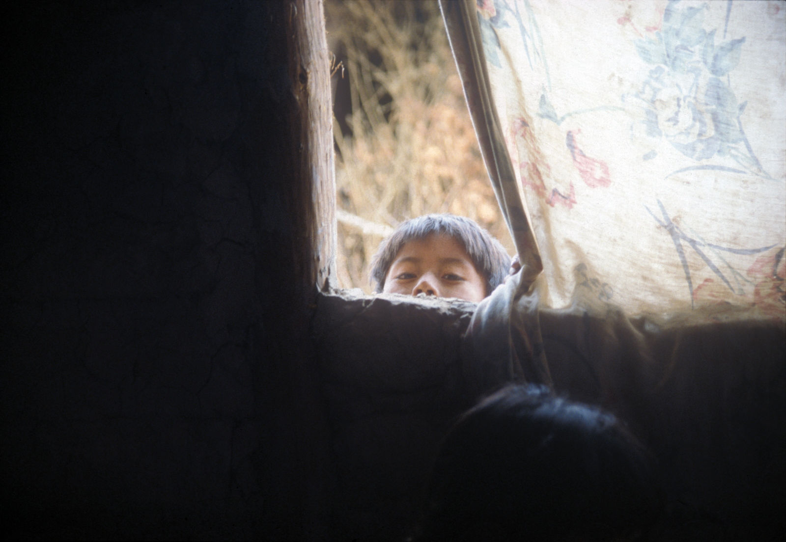 Foto por Alejandro Nuñez