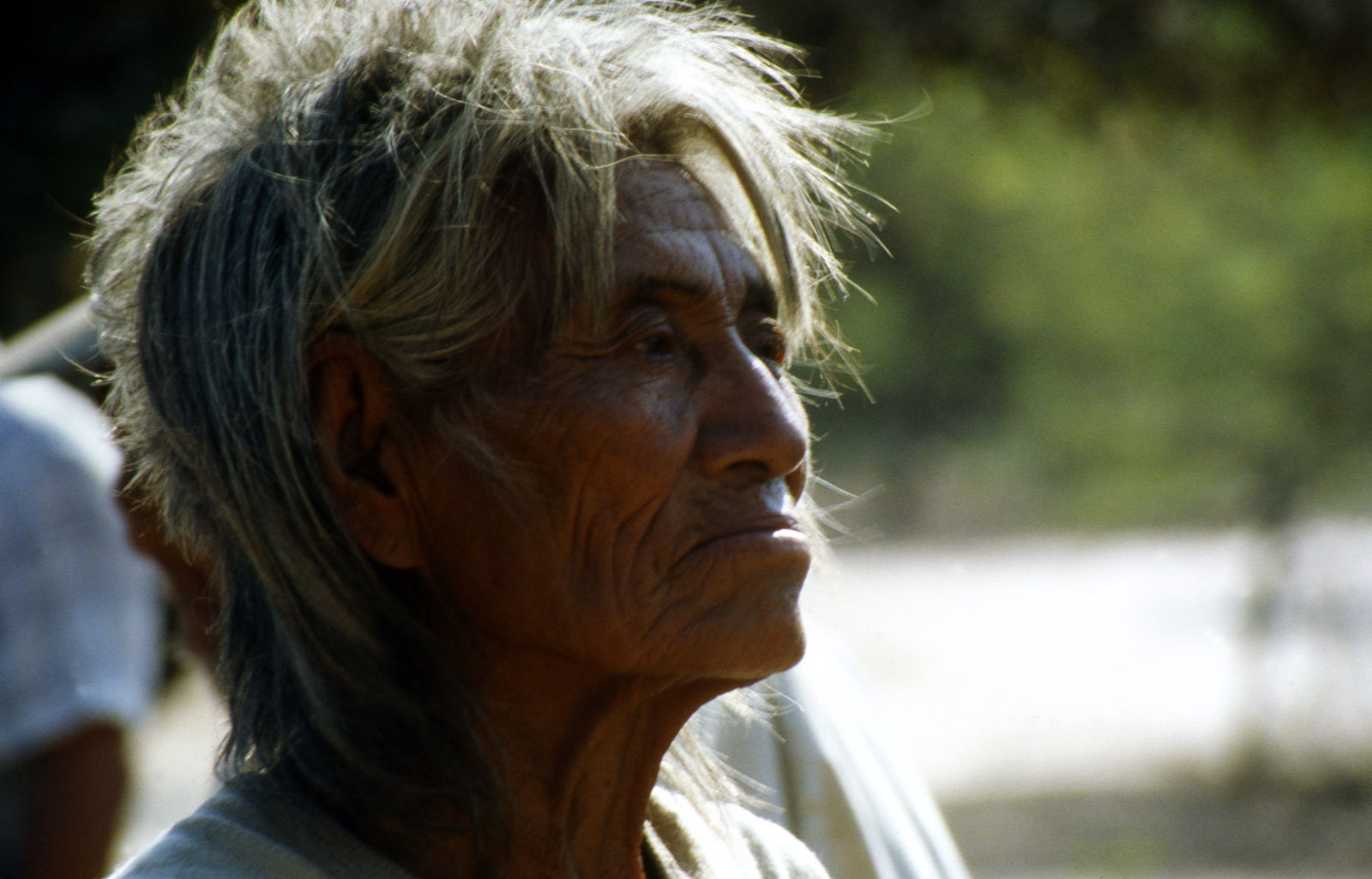 Foto por Alejandro Nuñez