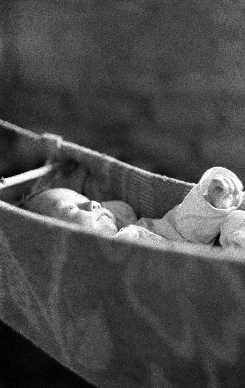 Foto por Alejandro Nuñez