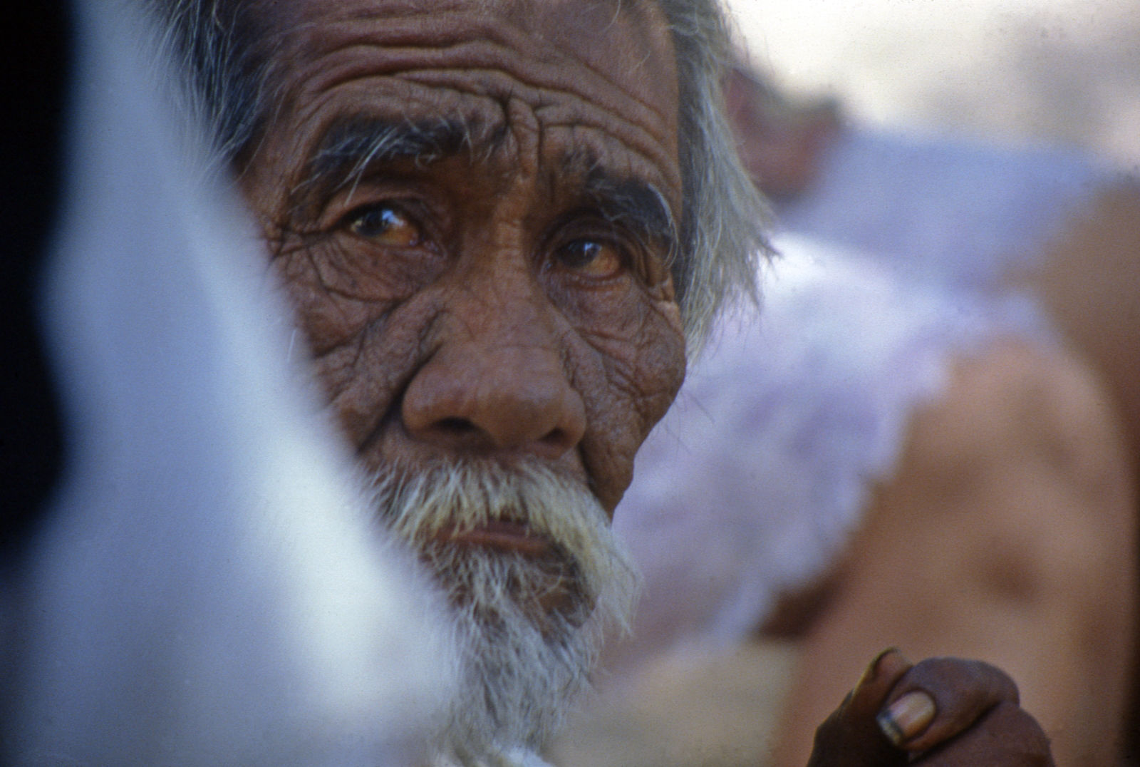 Foto por Alejandro Nuñez