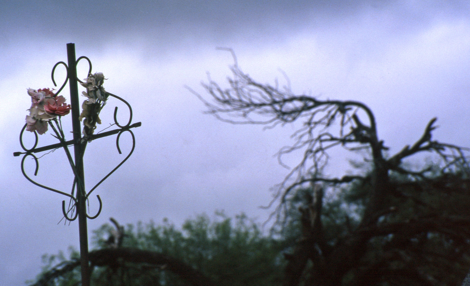 Foto por Alejandro Nuñez