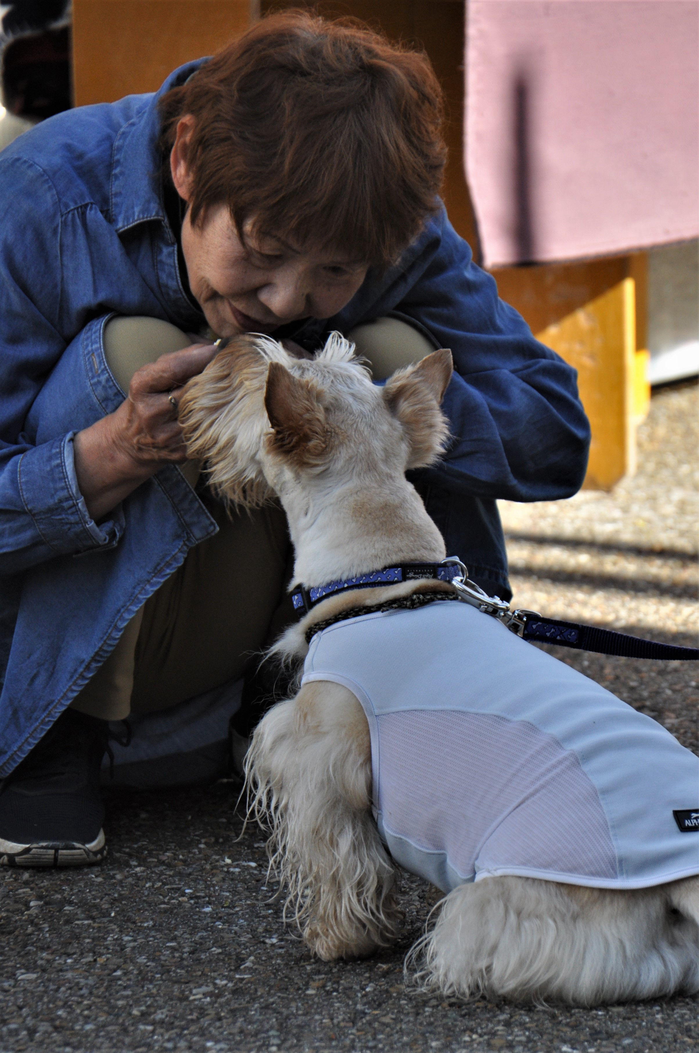 Foto por Alejandro Nuñez