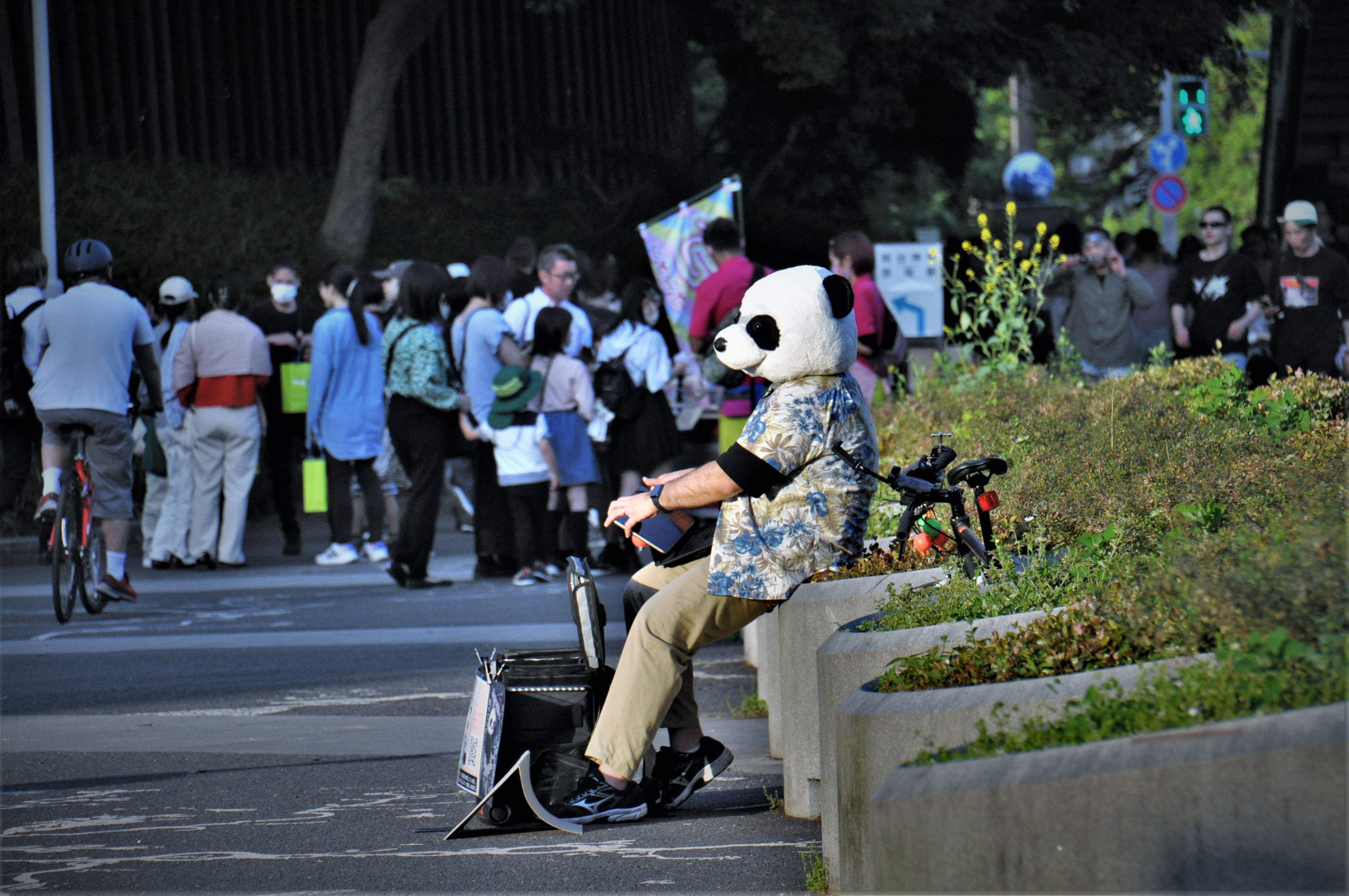 Foto por Alejandro Nuñez