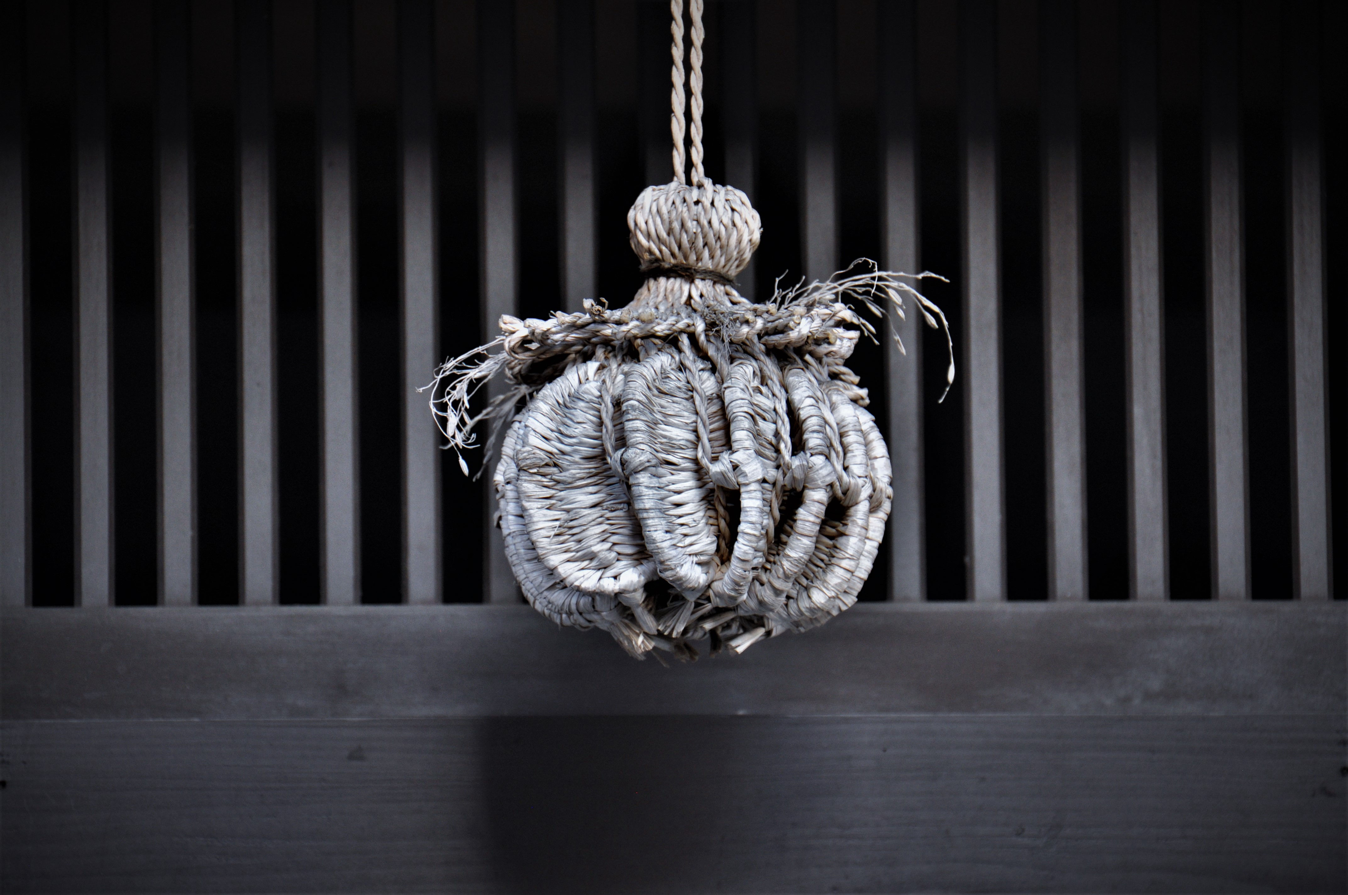 Foto por Alejandro Nuñez