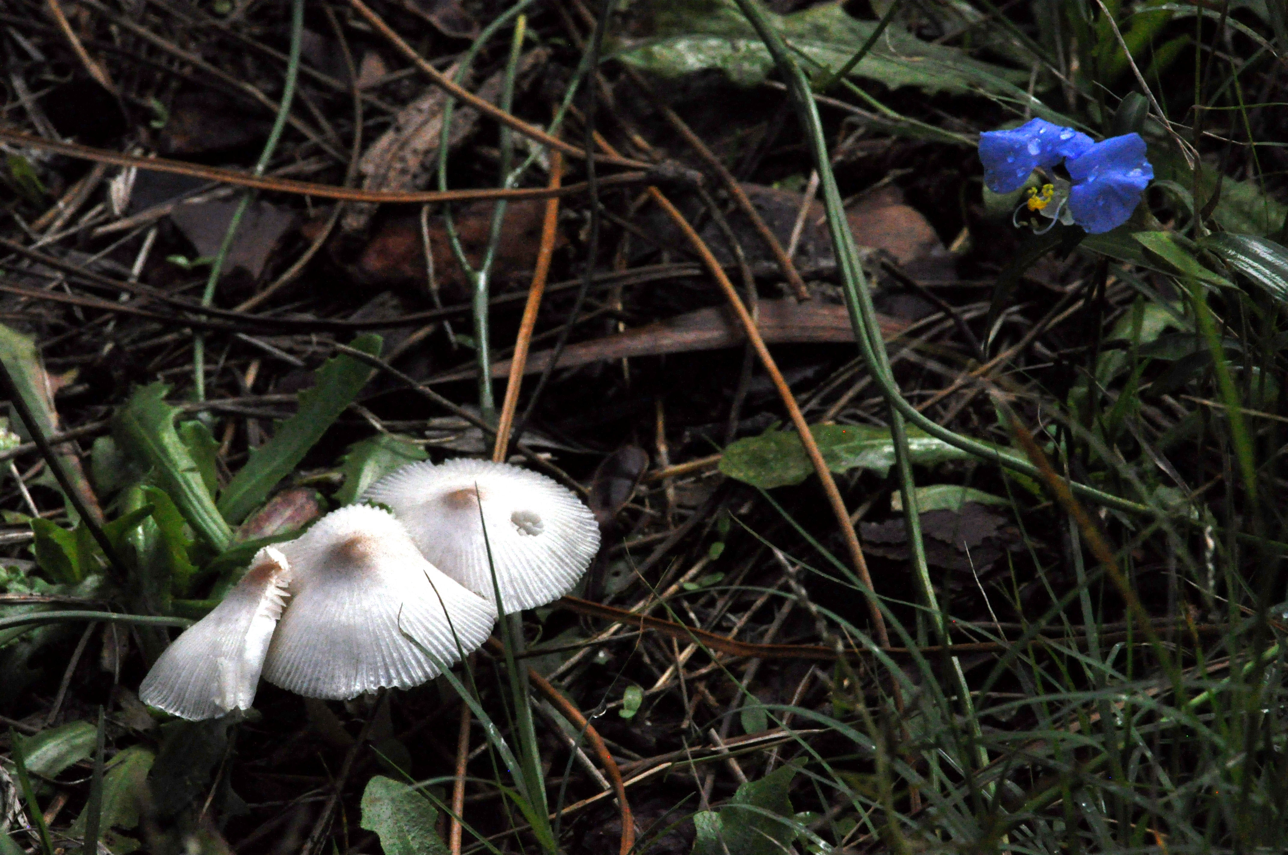 Foto por Alejandro Nuñez