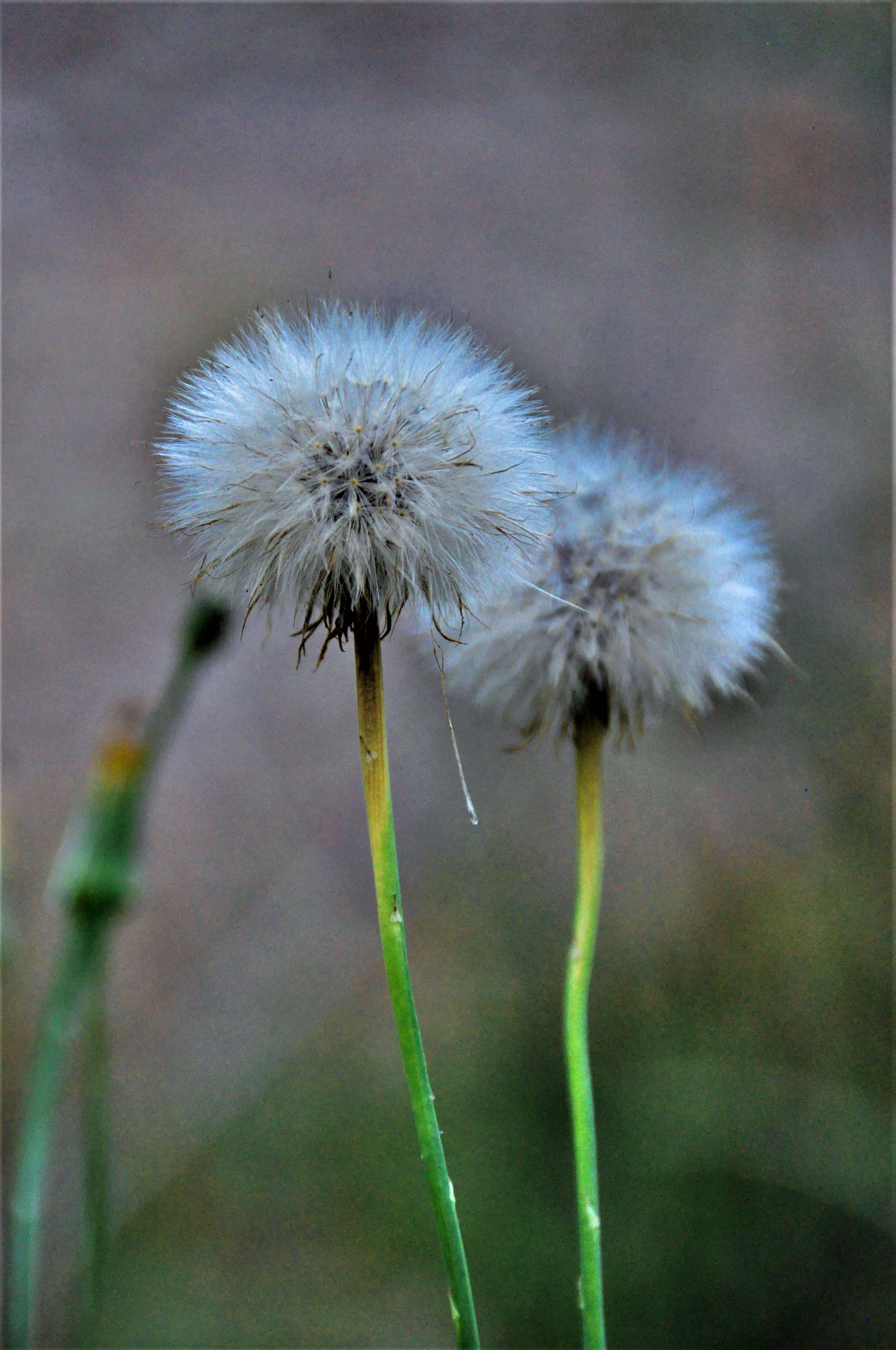 Foto por Alejandro Nuñez