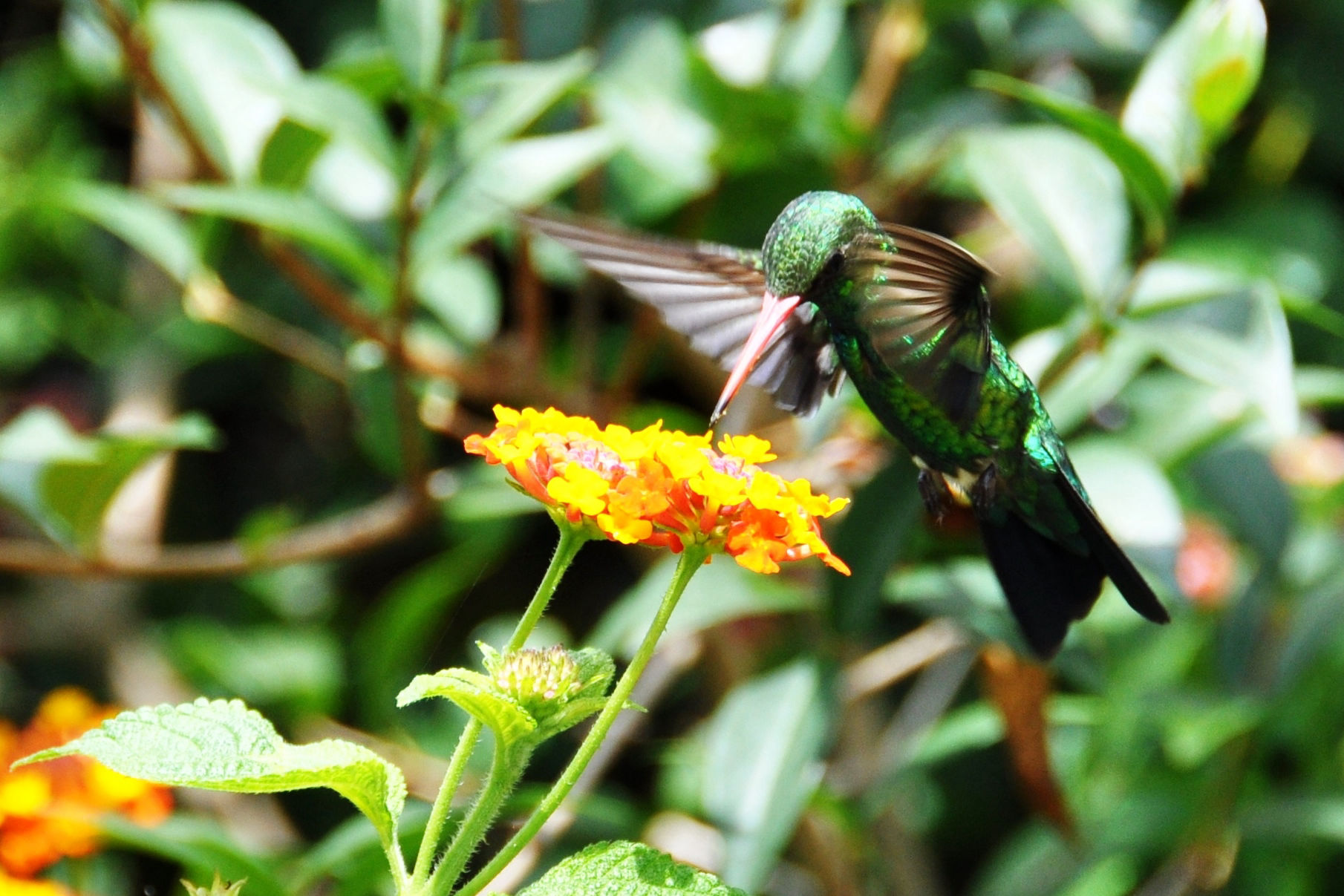 Foto por Alejandro Nuñez