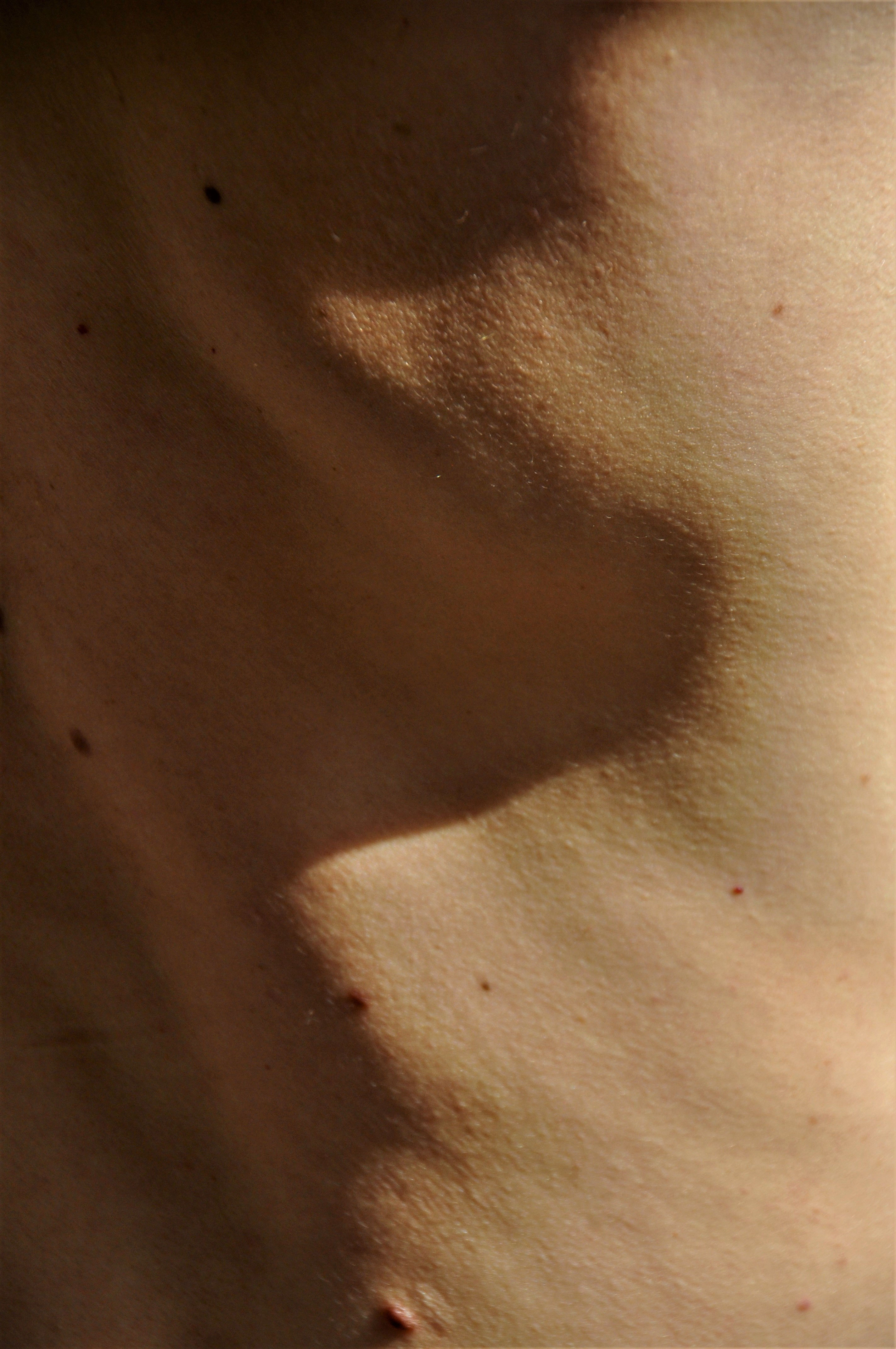 Foto por Alejandro Nuñez