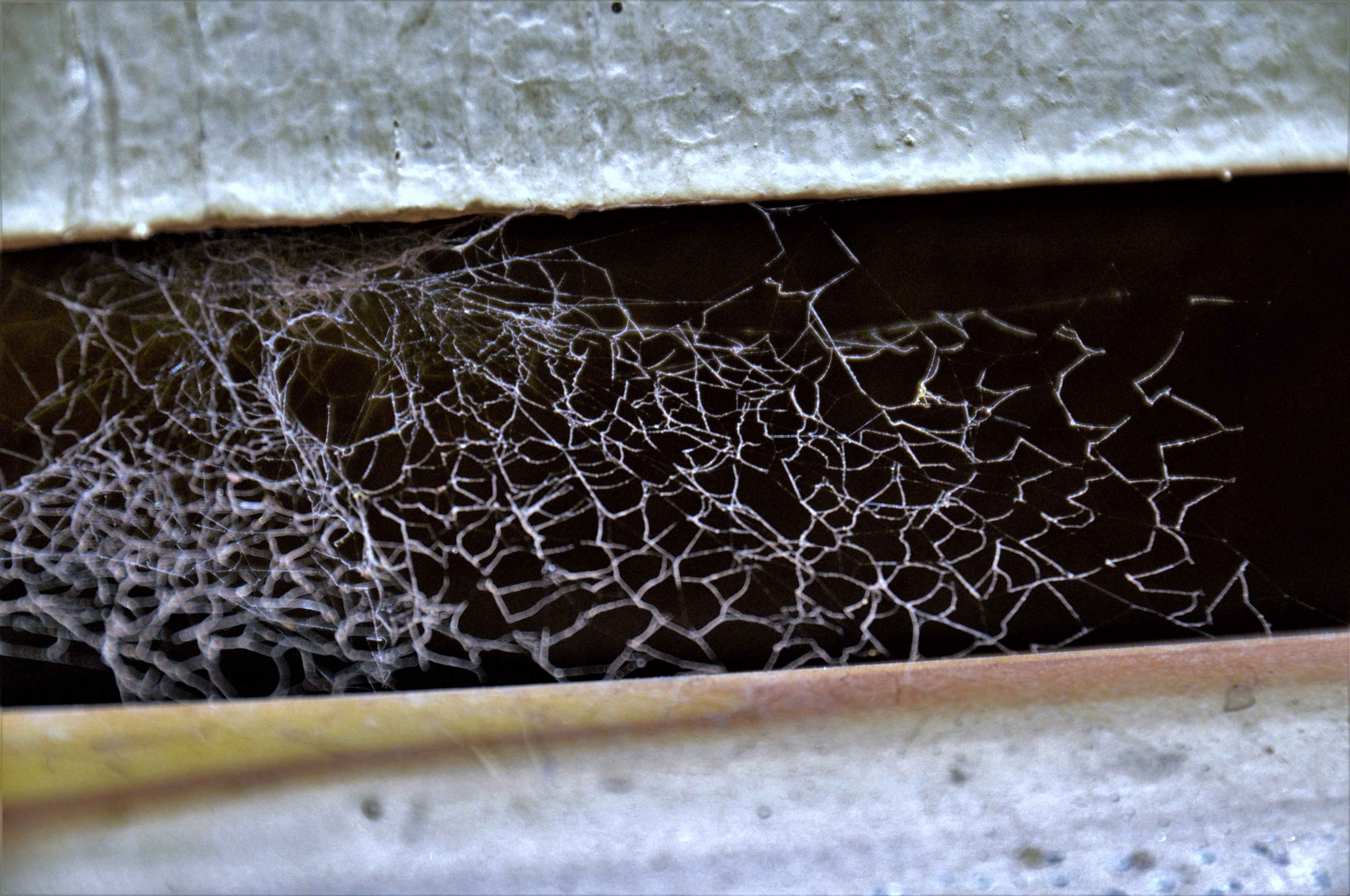 Foto por Alejandro Nuñez