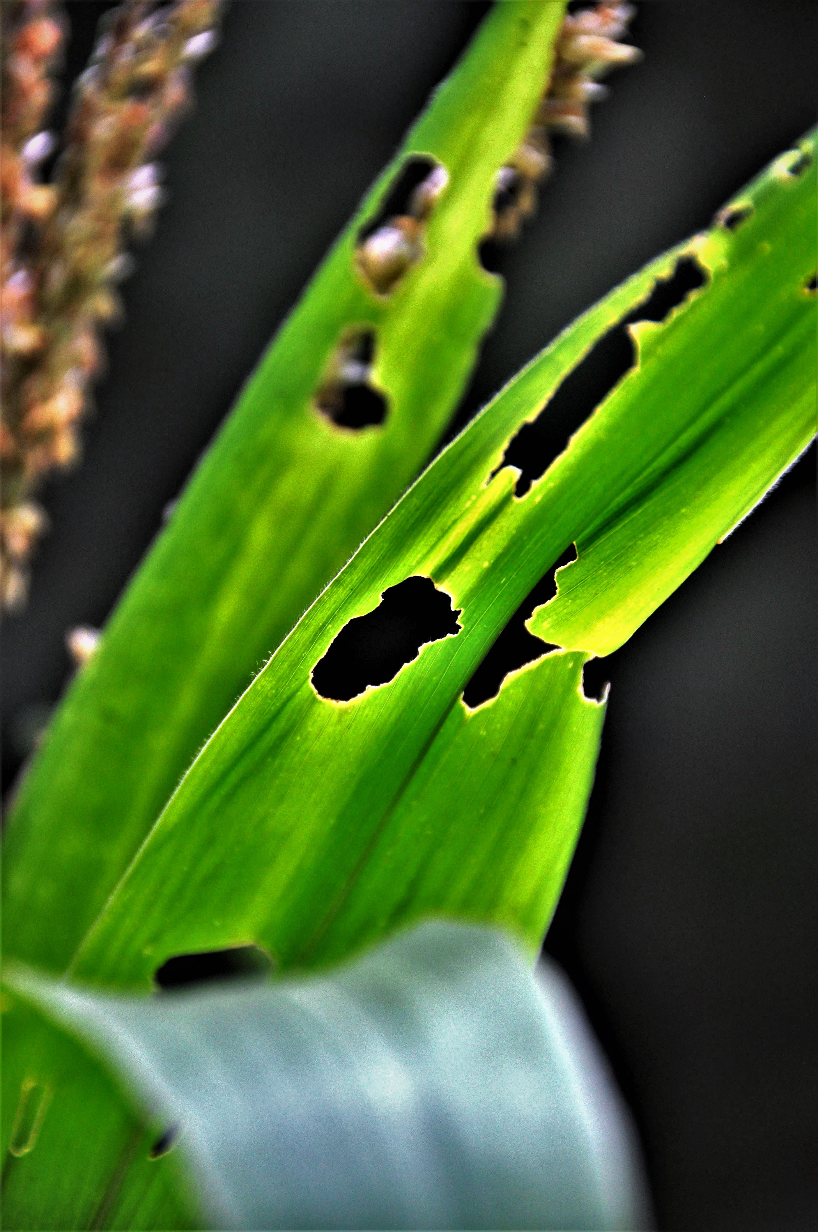 Foto por Alejandro Nuñez