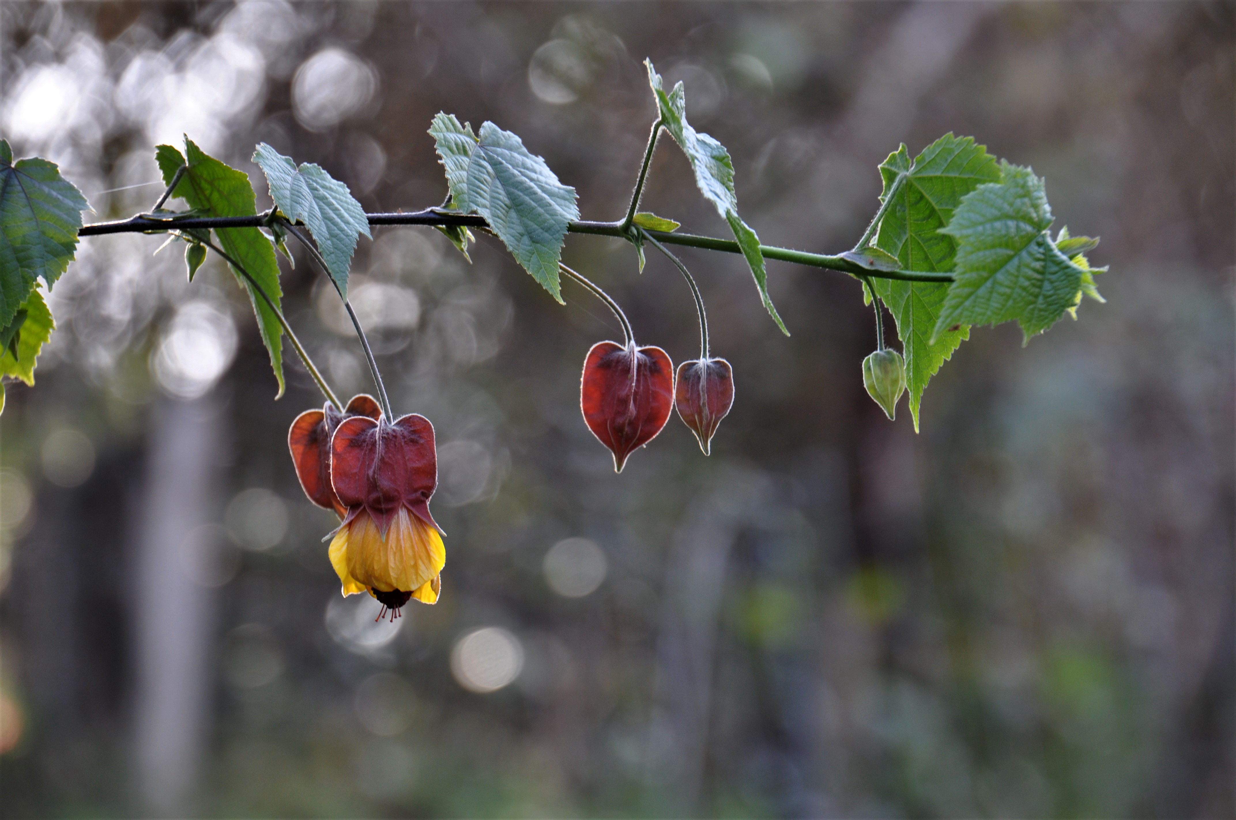 Foto por Alejandro Nuñez