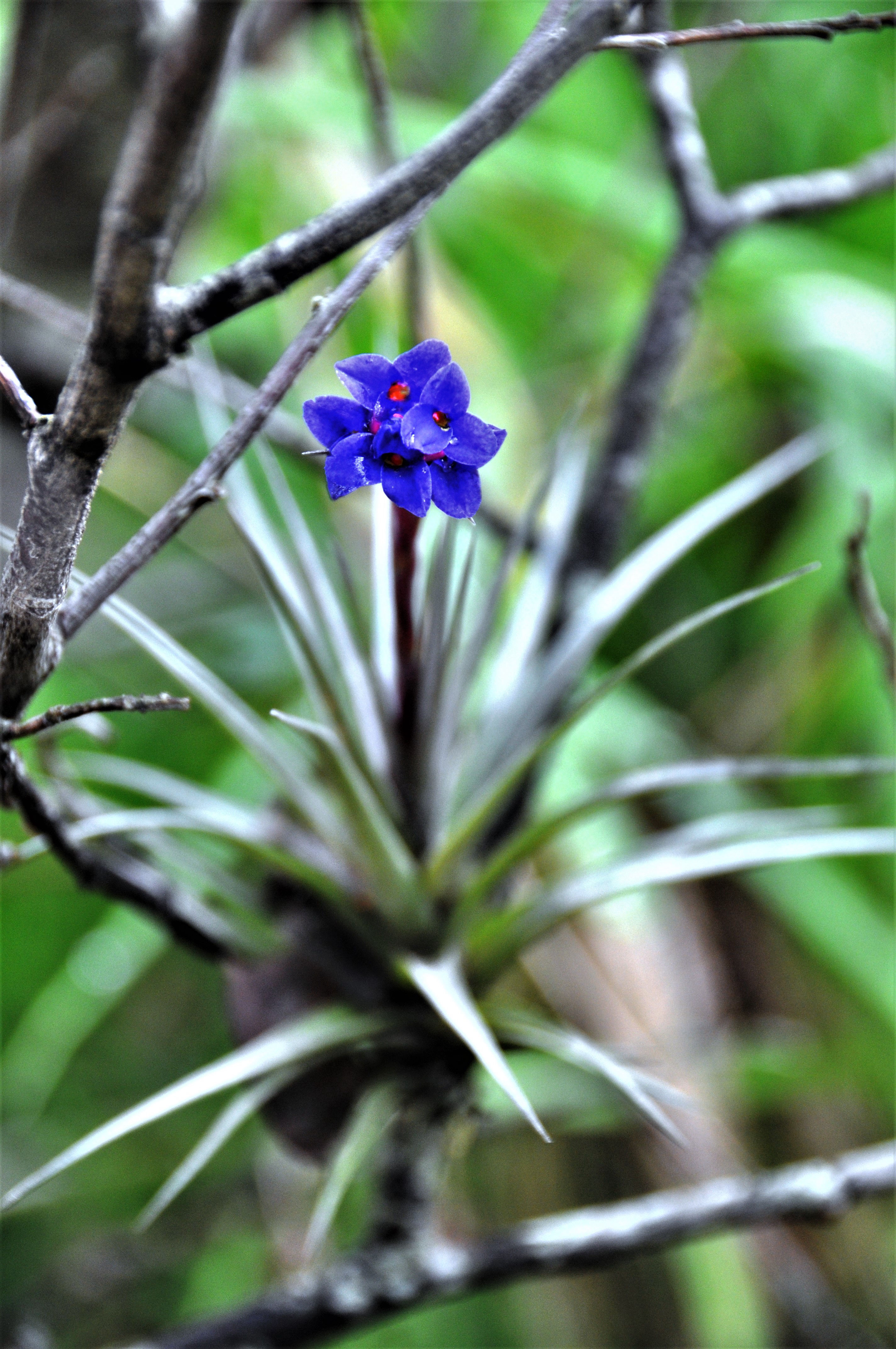 Foto por Alejandro Nuñez