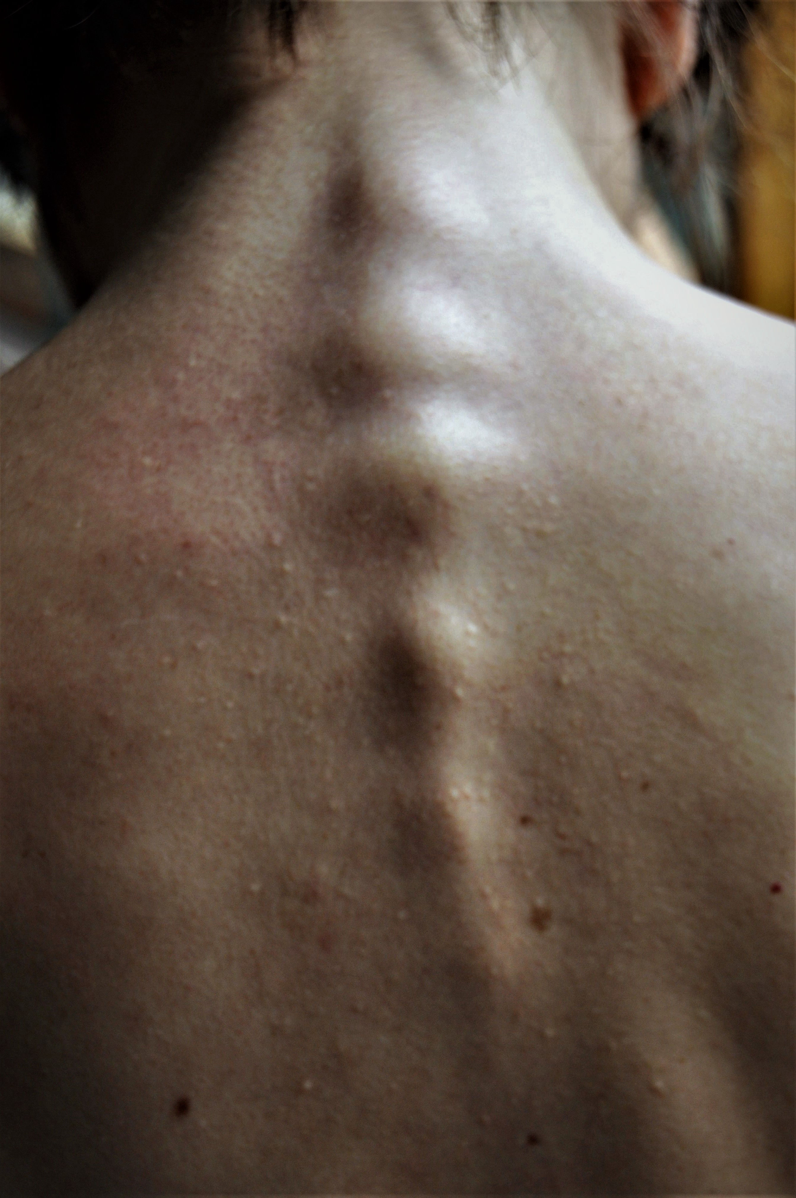 Foto por Alejandro Nuñez