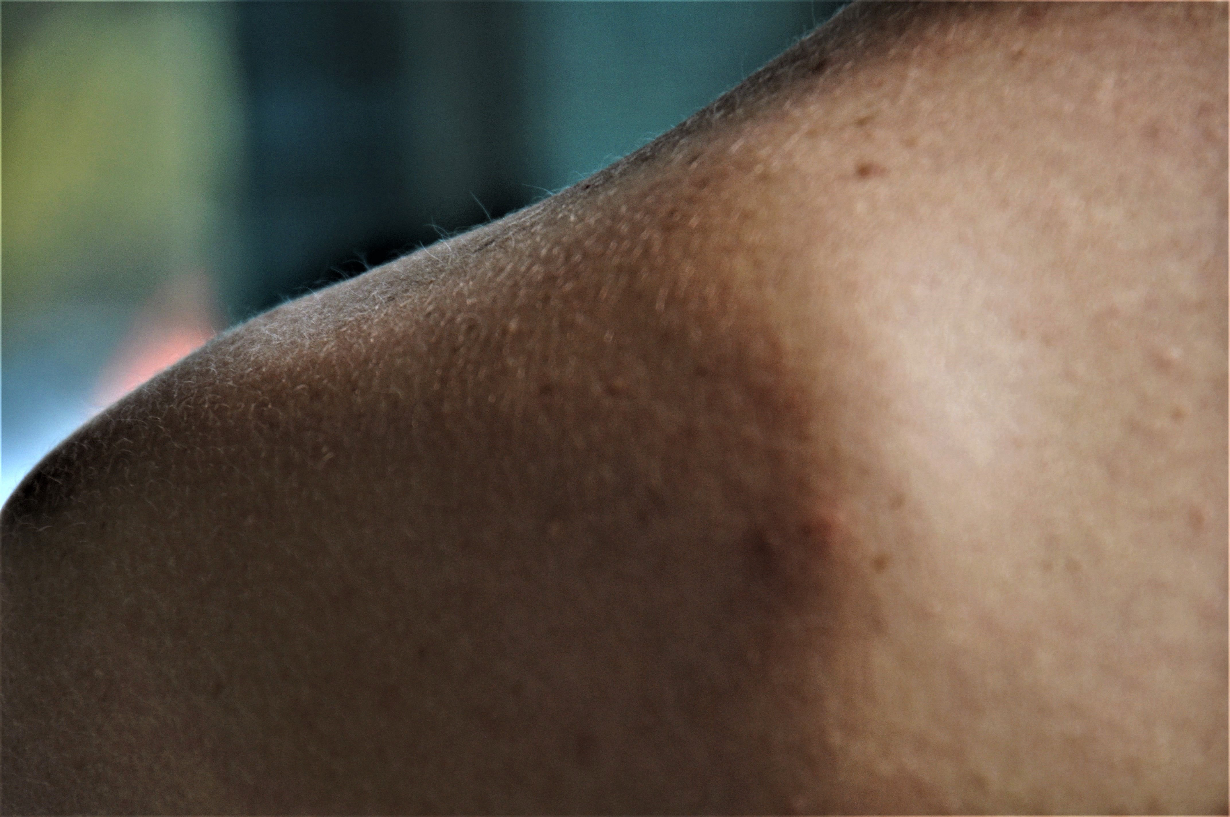 Foto por Alejandro Nuñez