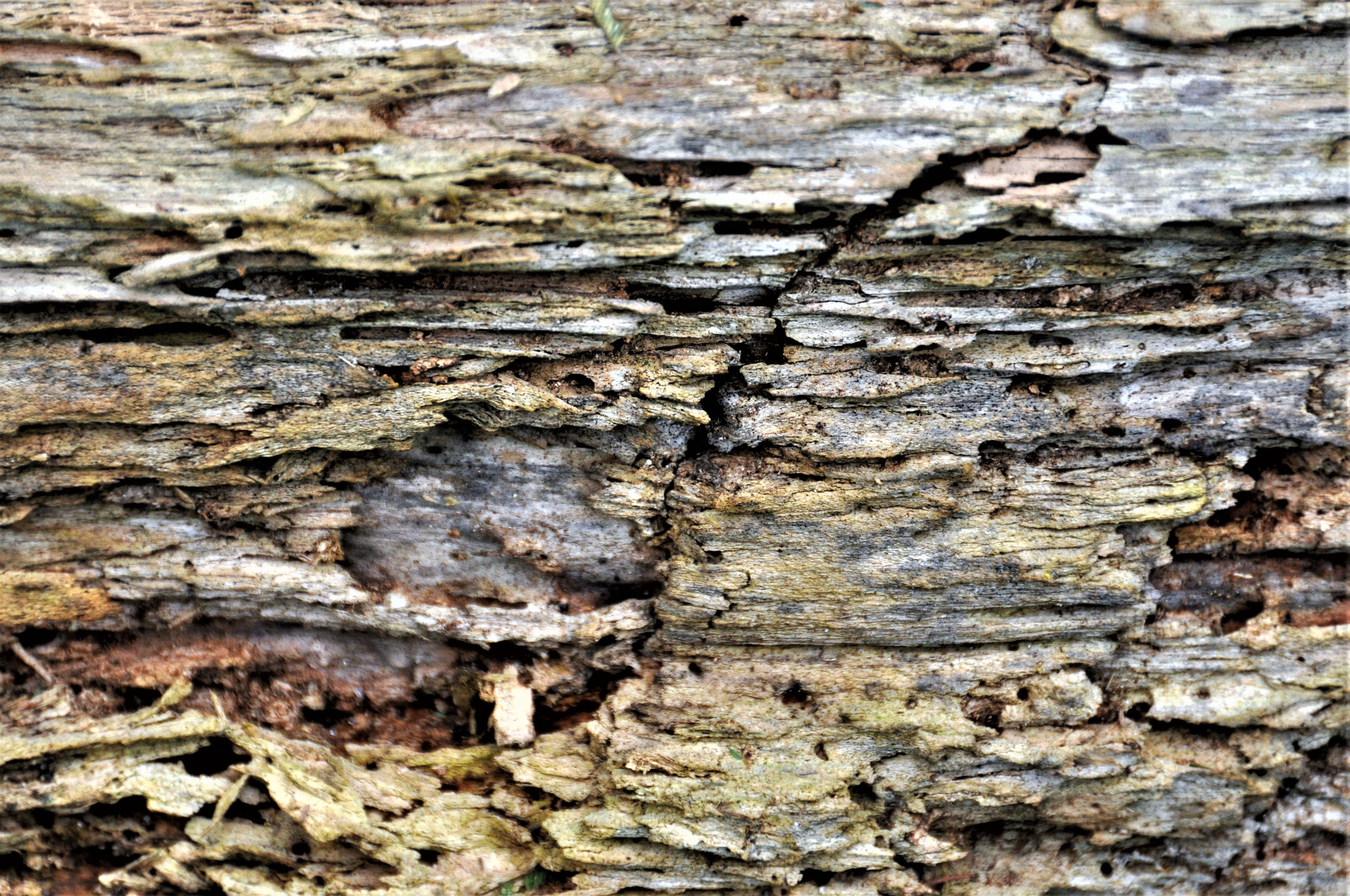 Foto por Alejandro Nuñez