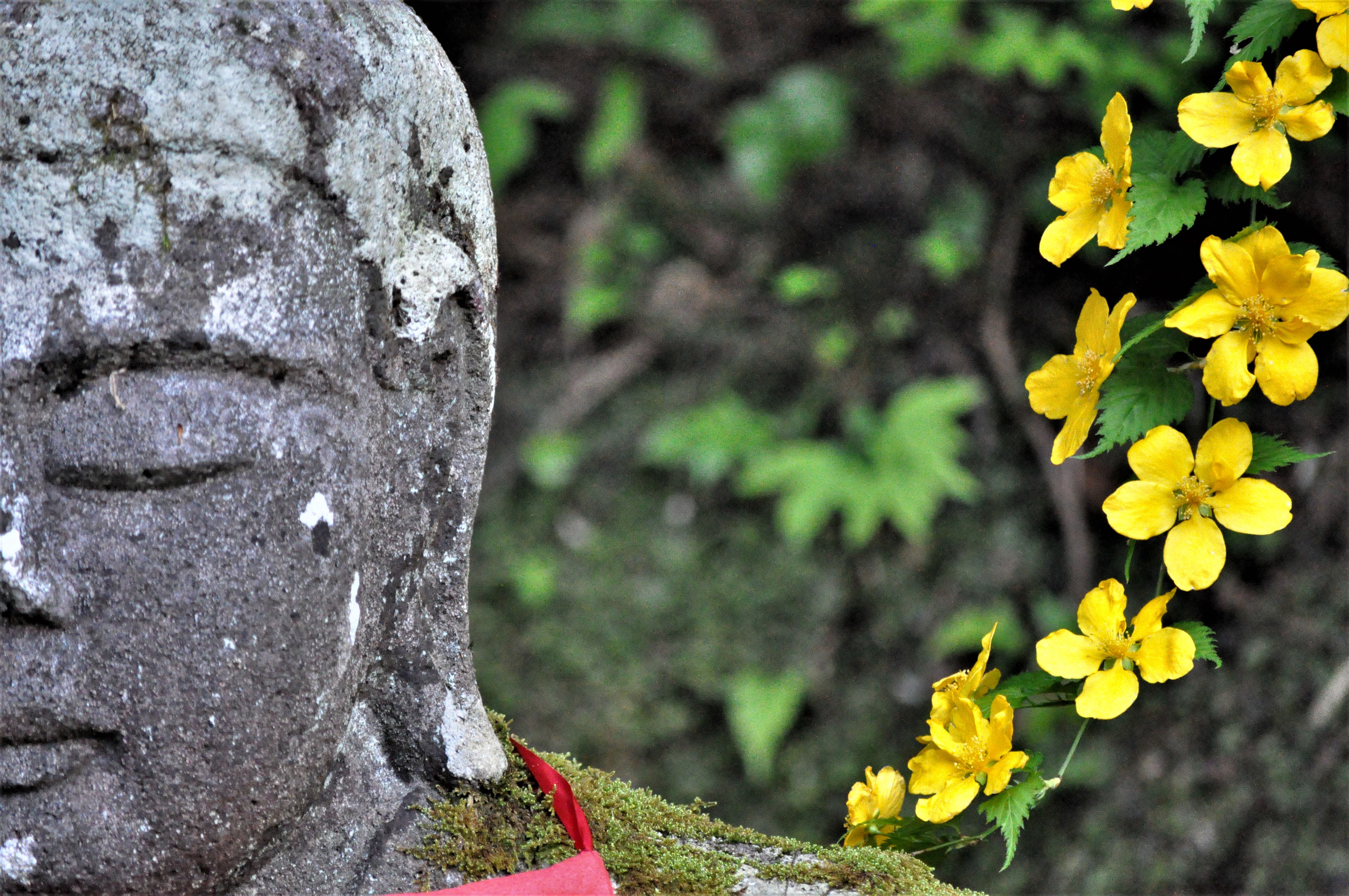 Foto por Alejandro Nuñez