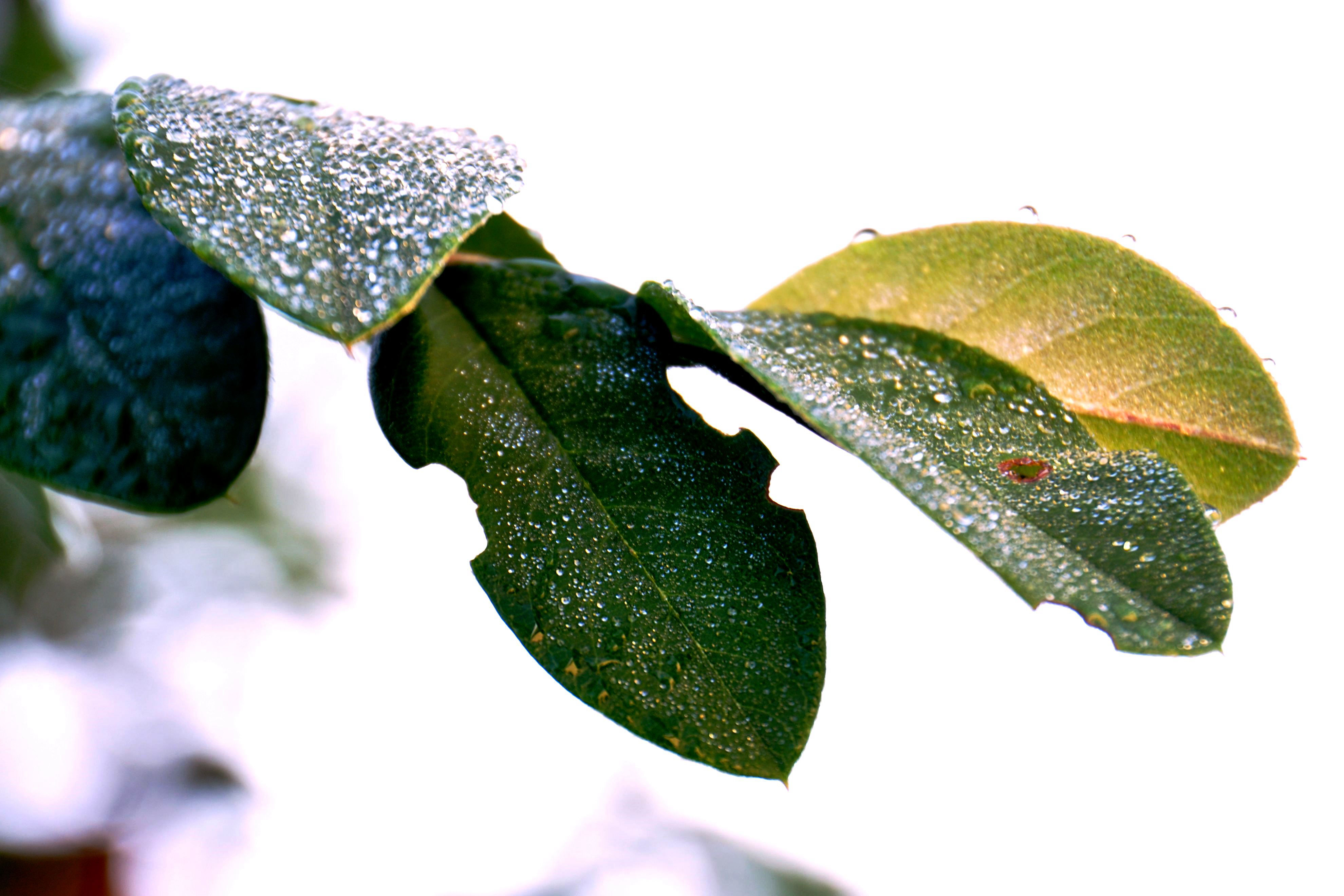 Foto por Alejandro Nuñez