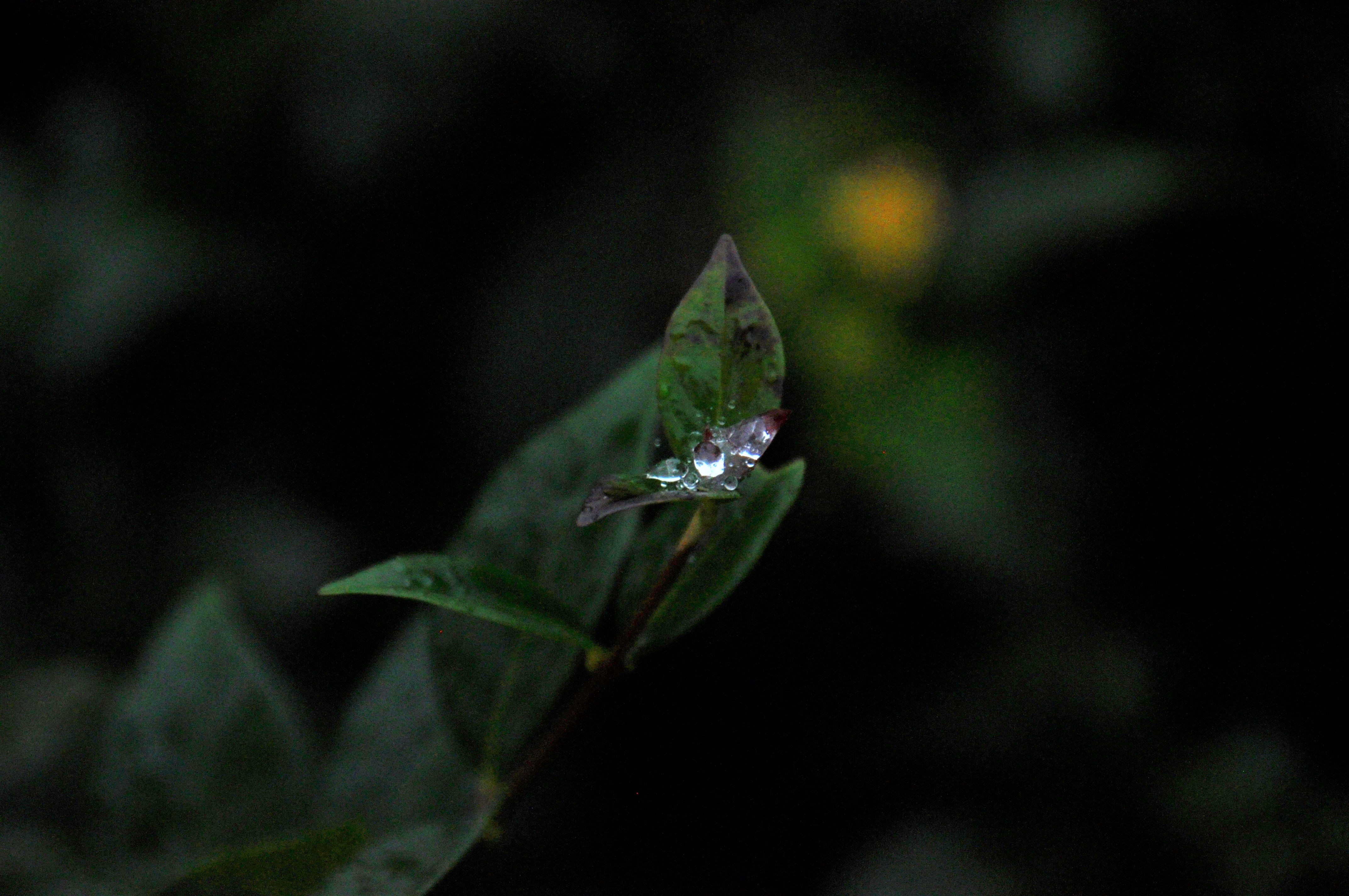 Foto por Alejandro Nuñez