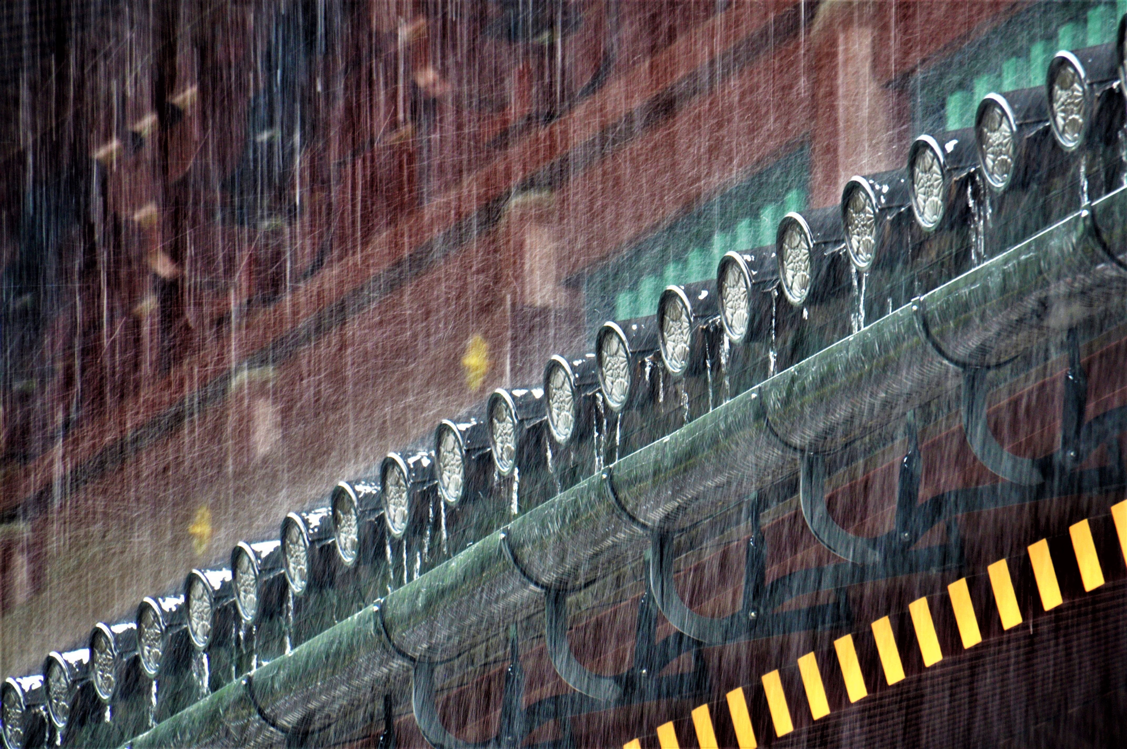 Foto por Alejandro Nuñez