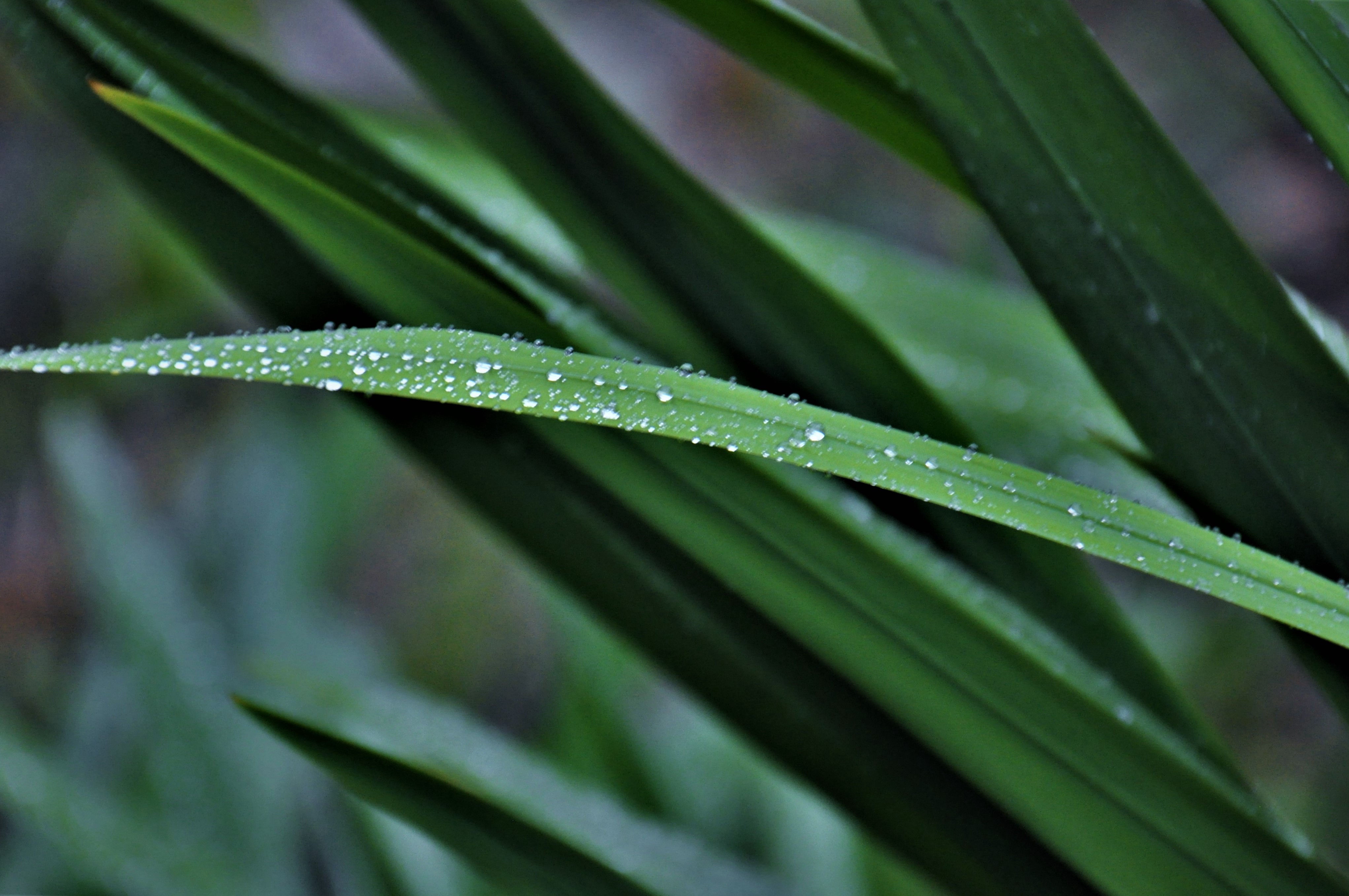 Foto por Alejandro Nuñez