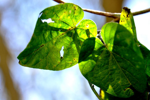 Foto por Alejandro Nuñez