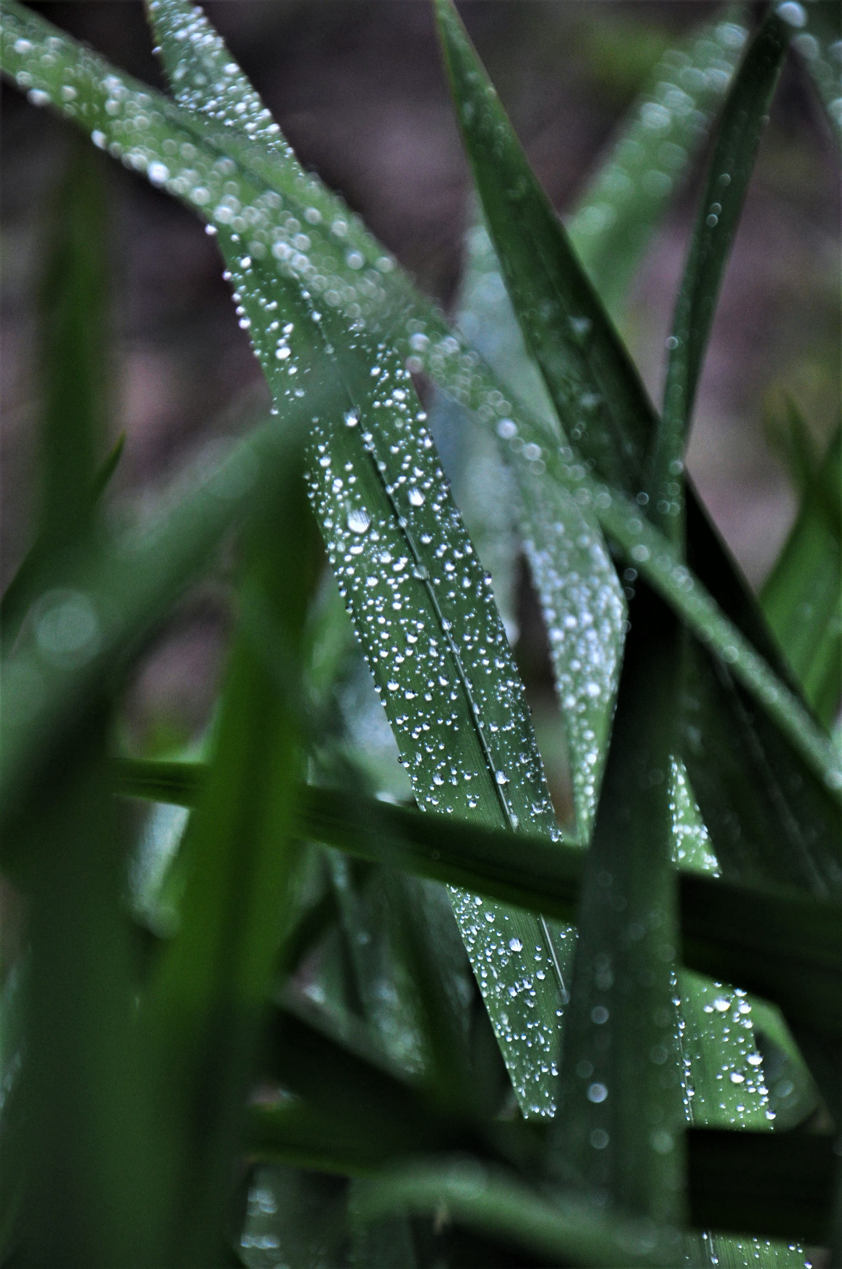 Foto por Alejandro Nuñez