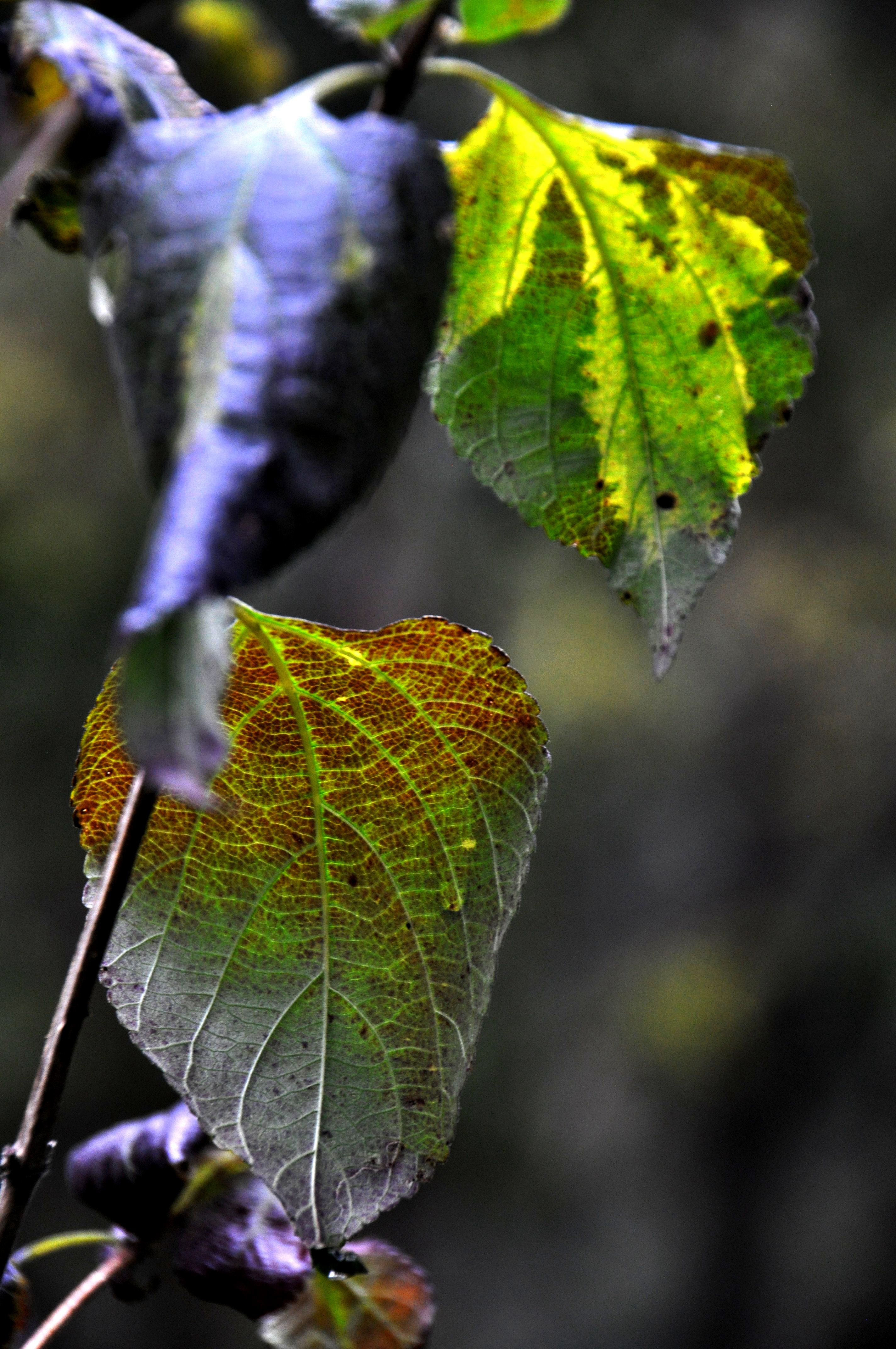 Foto por Alejandro Nuñez