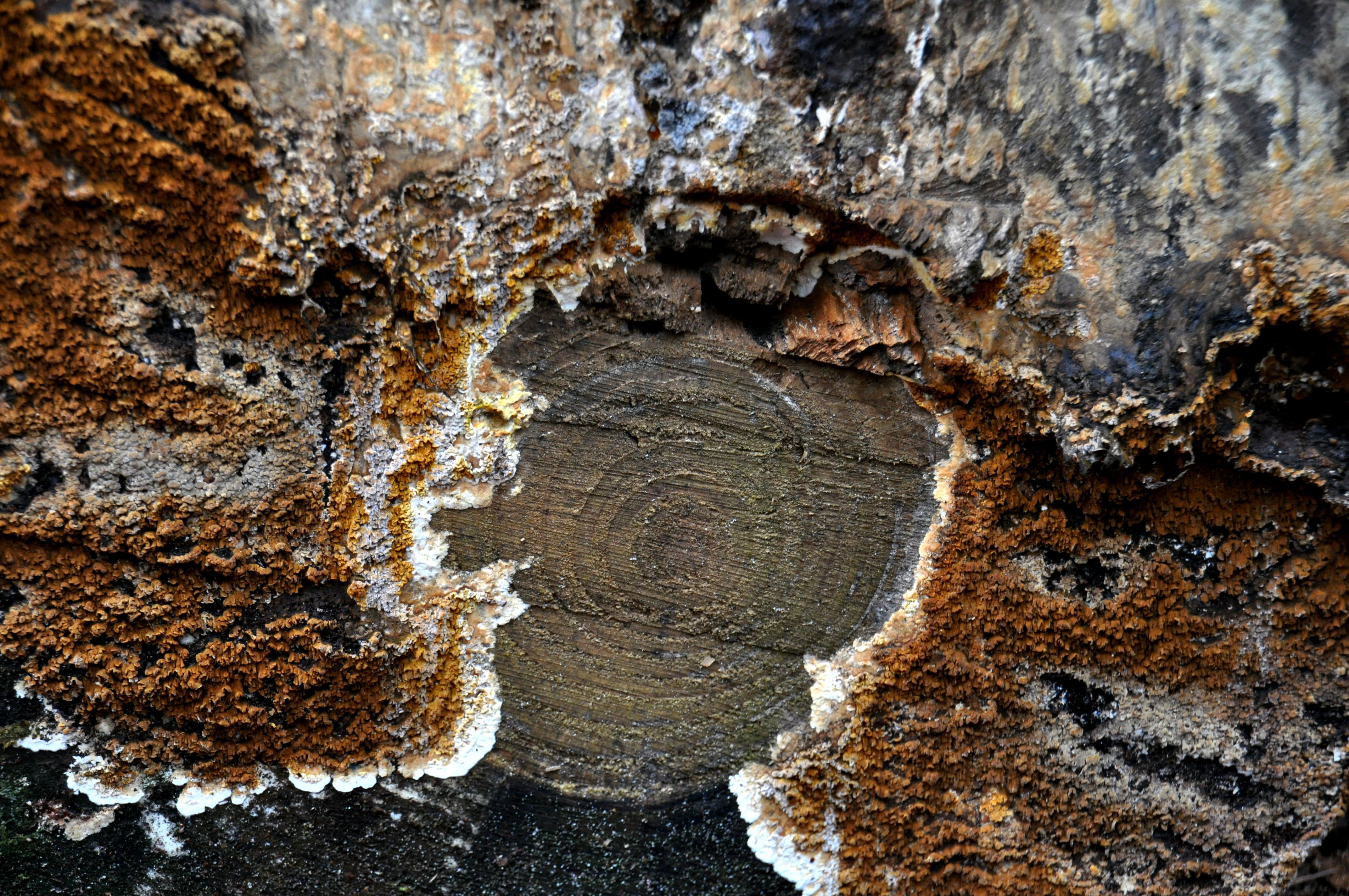 Foto por Alejandro Nuñez