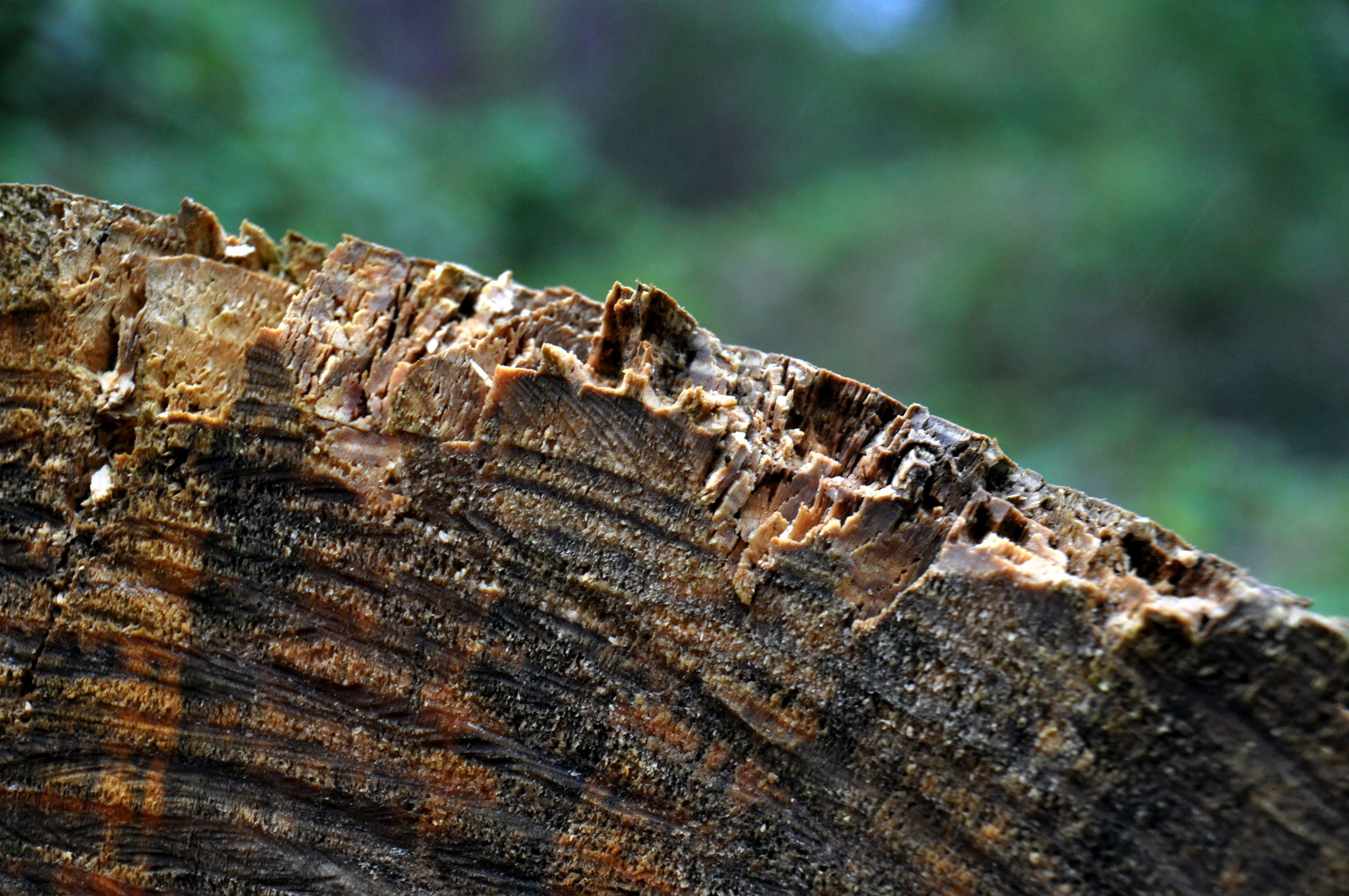 Foto por Alejandro Nuñez
