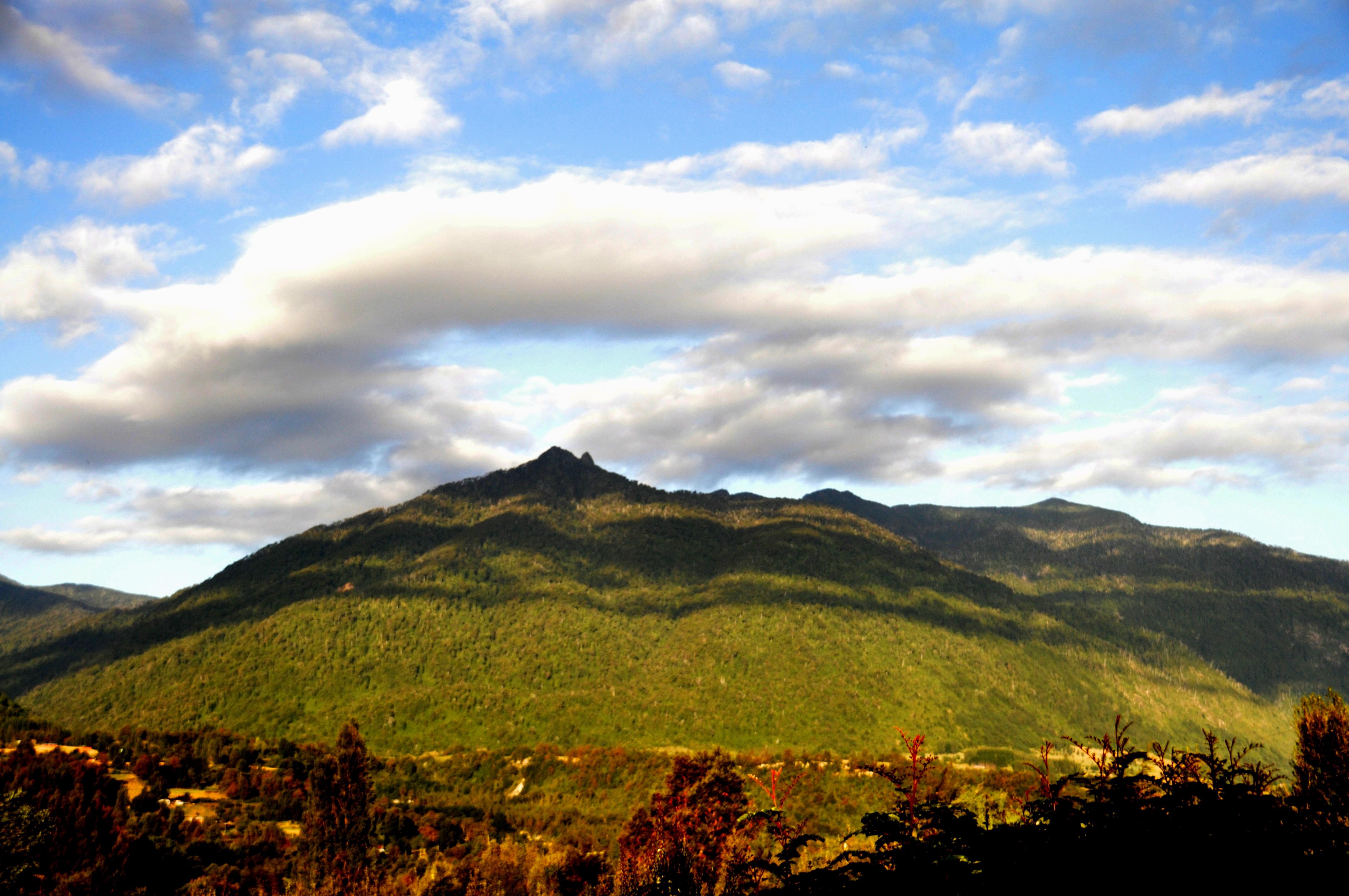 Foto por Alejandro Nuñez