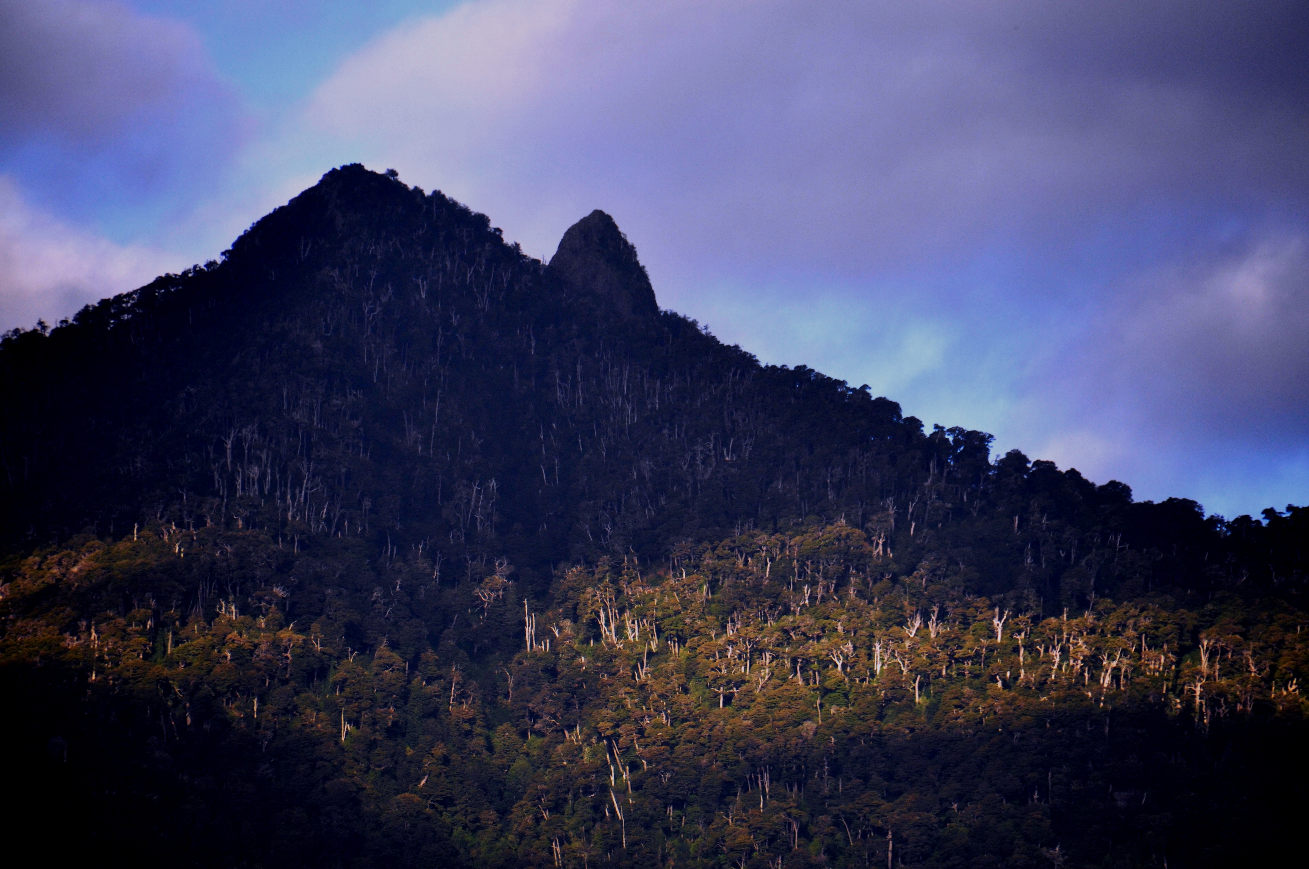 Foto por Alejandro Nuñez