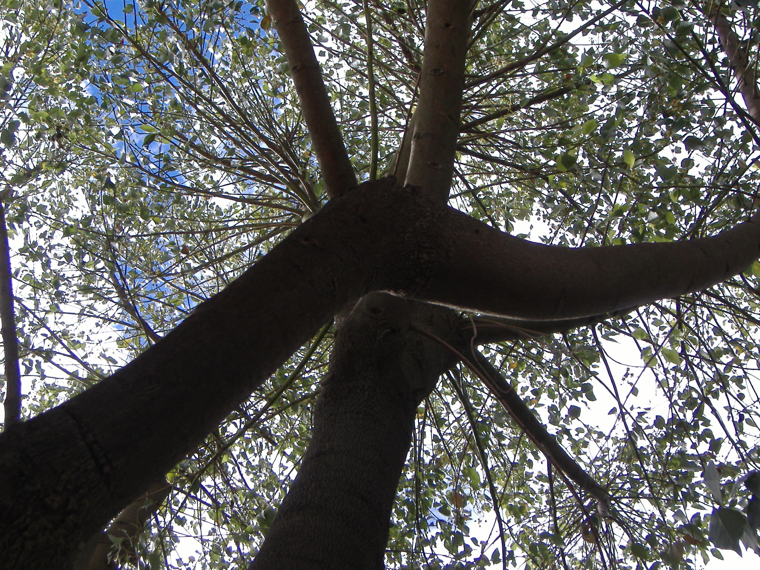 Foto por Alejandro Nuñez