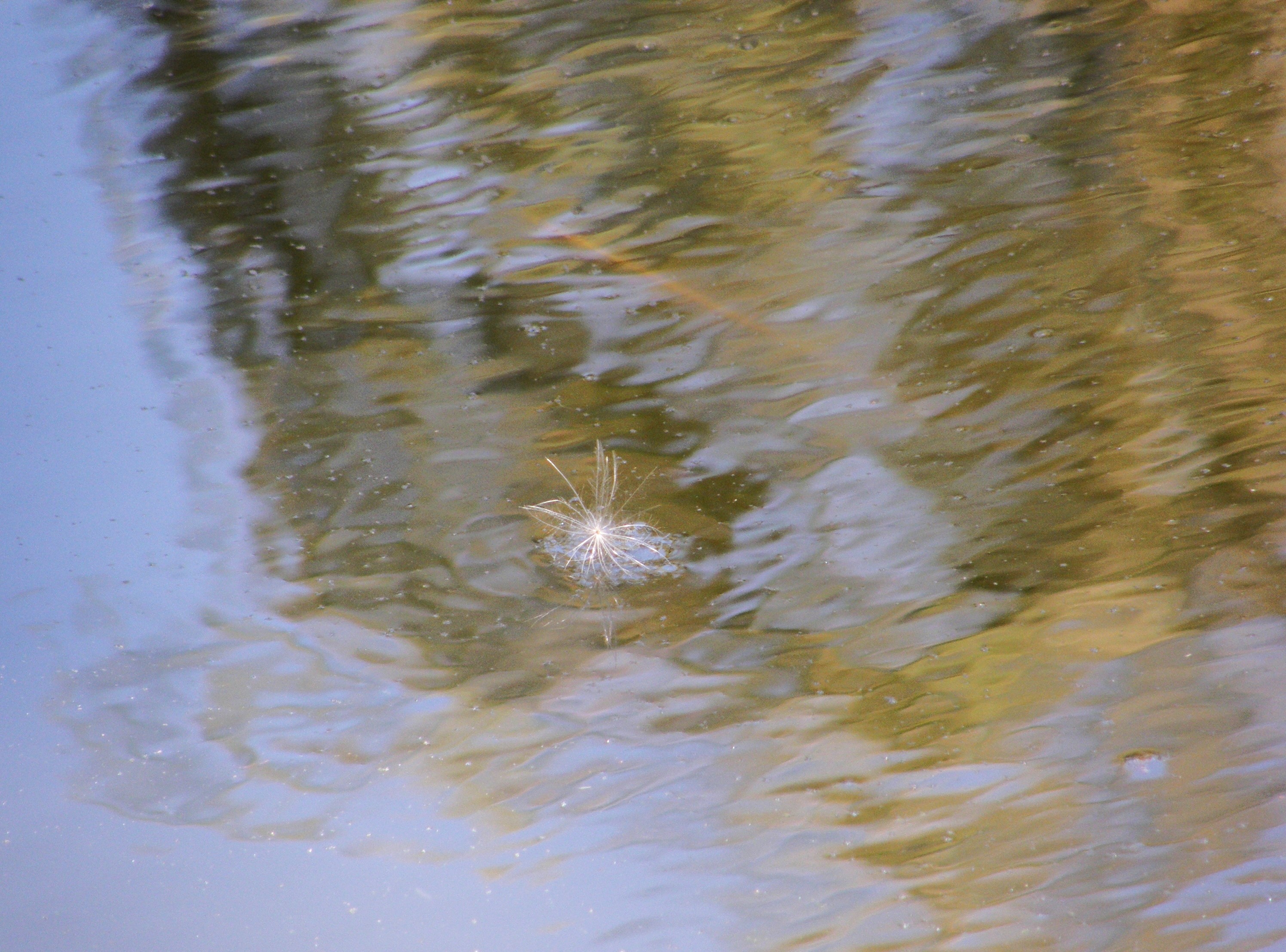 Foto por Alejandro Nuñez