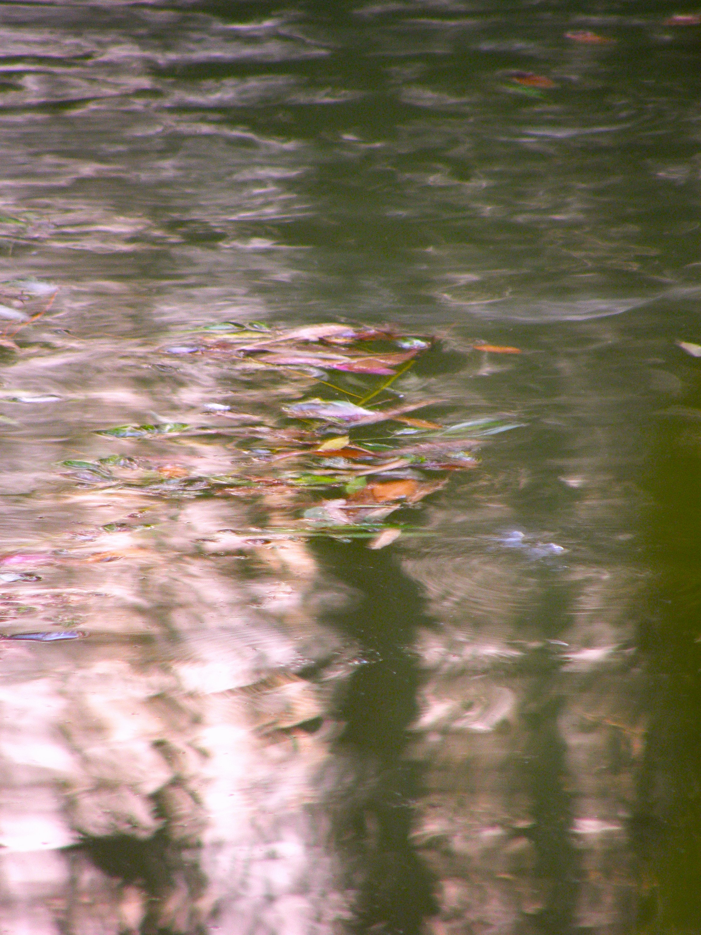 Foto por Alejandro Nuñez