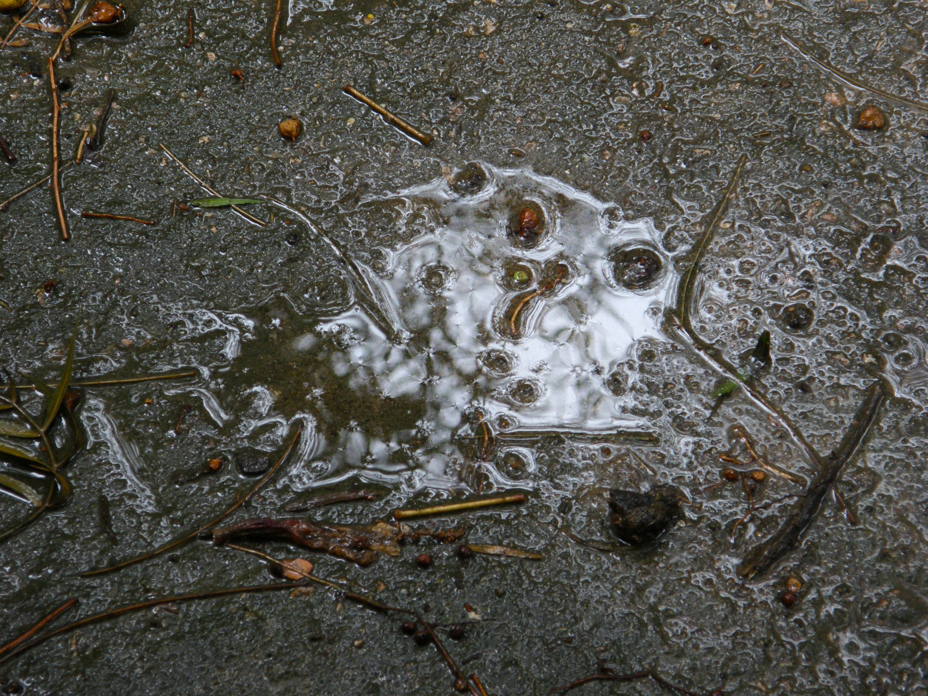 Foto por Alejandro Nuñez