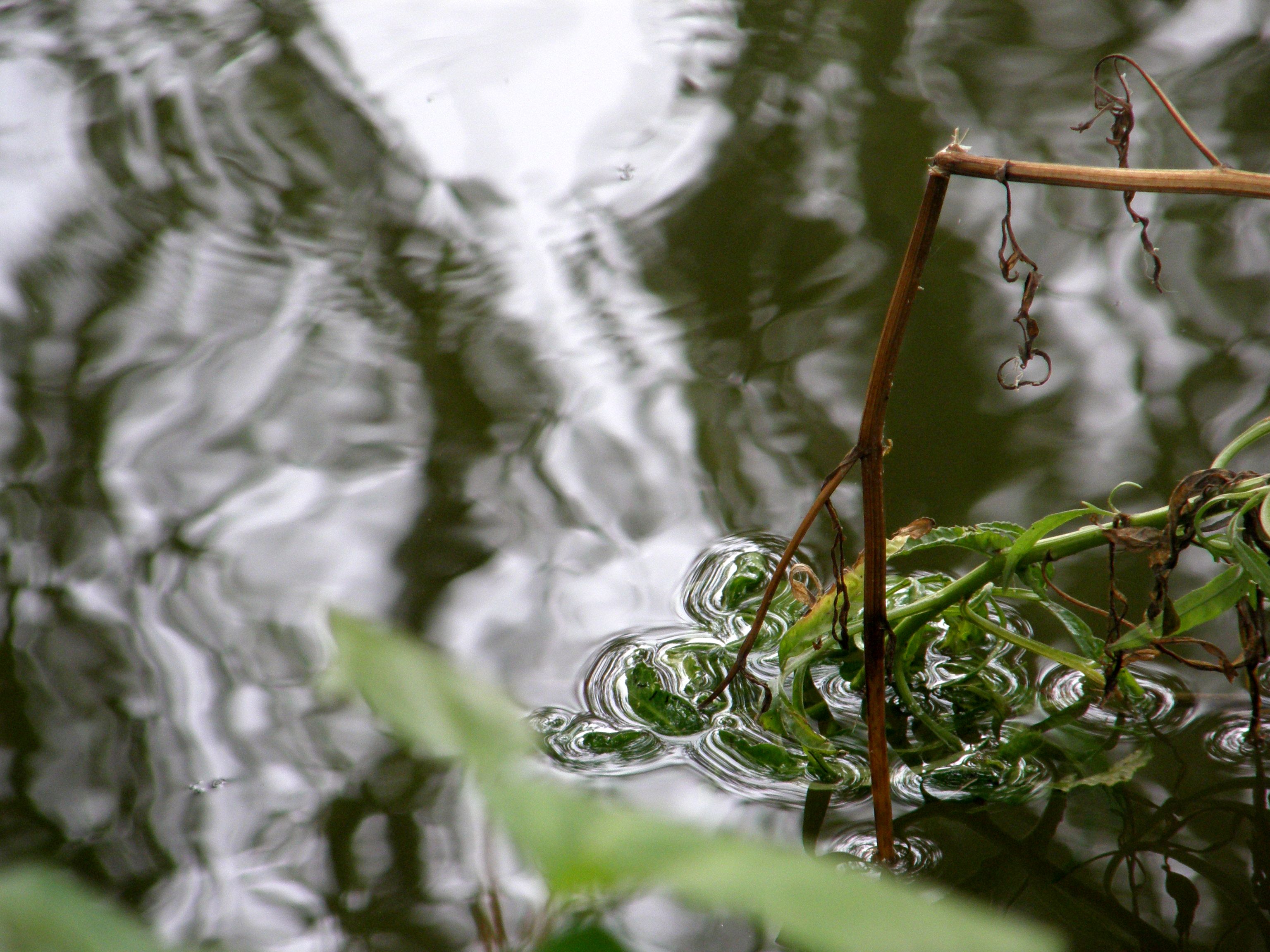 Foto por Alejandro Nuñez