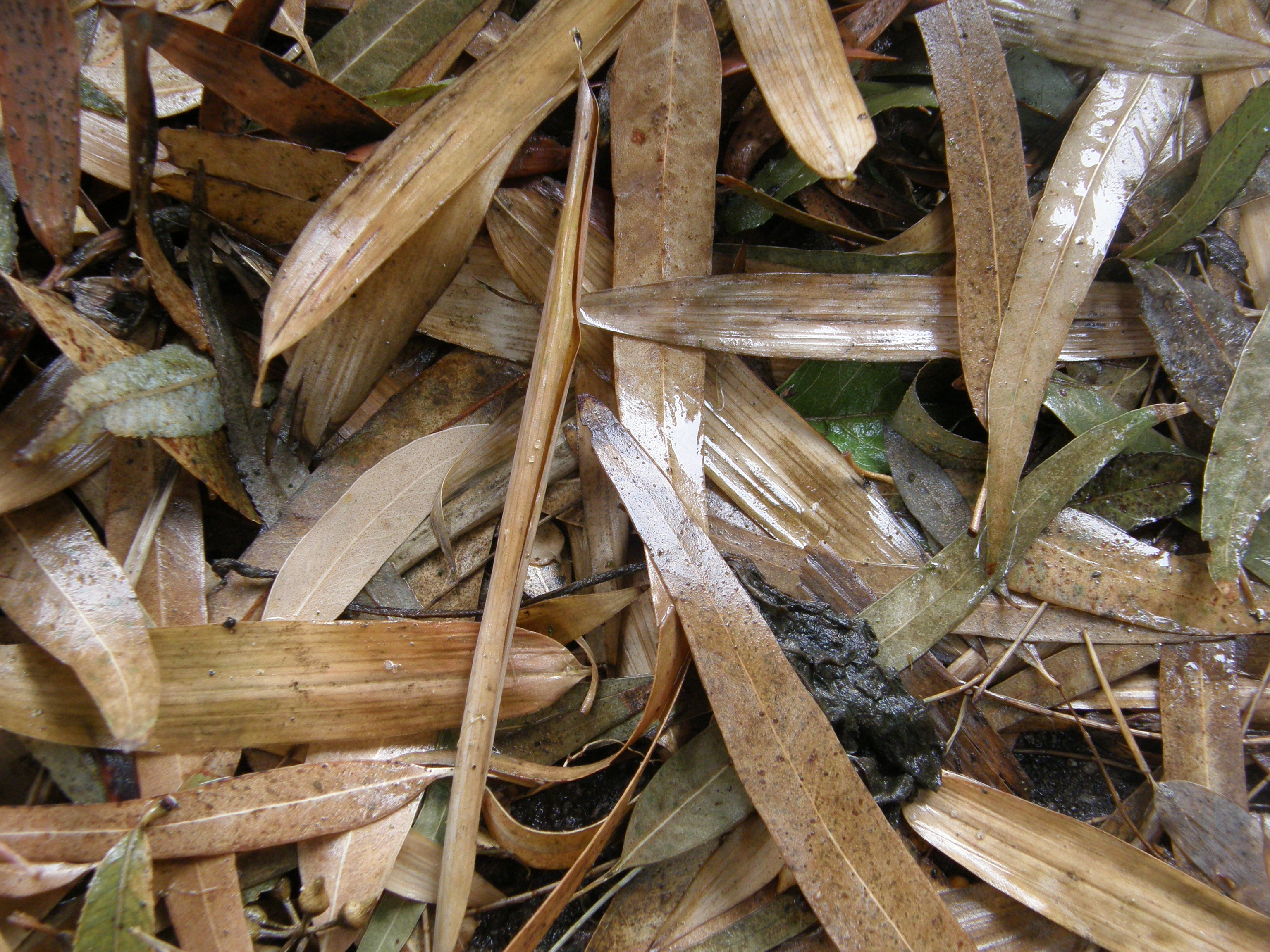 Foto por Alejandro Nuñez